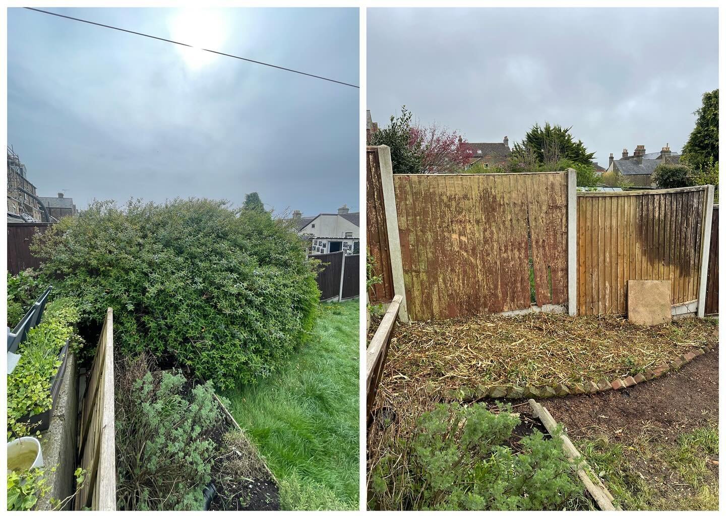 Can you believe that these incredibly encroaching bushes, tree&rsquo;s and shrubs once lived here? 🌳 This was a tricky one due to access! We got the thumbs up to bring a 50mm chipper through the property due to no rear access 🫨 Needless to say we s