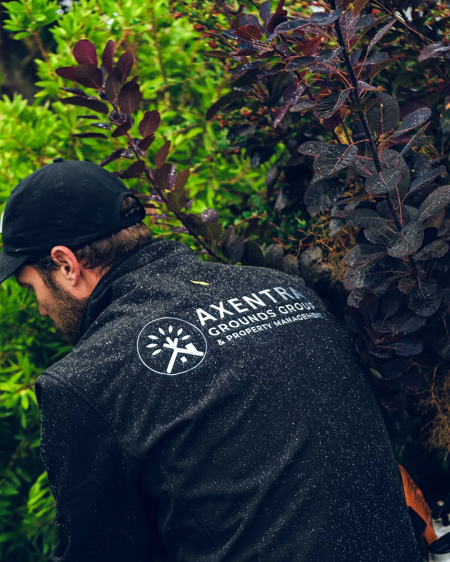 ✨ Fresh, clean, and ready for growth! 🌱
Our team carried out a maintenance cut for a valued client in Sheppey, keeping their outdoor space sharp, tidy, and healthy. 💪

A little regular care goes a long way in keeping your property looking its best.