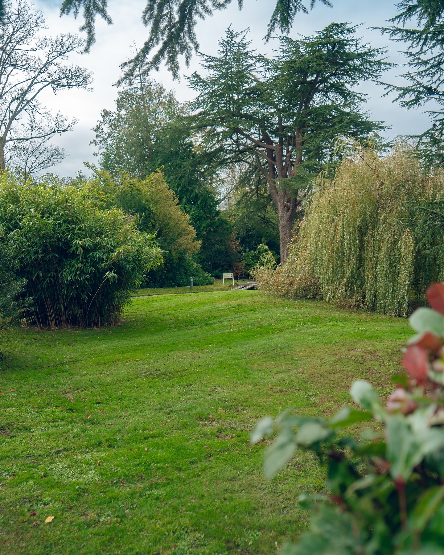 Four care homes. One team. No daylight left.
Just clean cuts, clean lines, and clean footage. 🌿🚁
&bull;
&bull;
&bull;
&bull;For any inquiry&rsquo;s please DM or contact us.
&bull;📧Info@axentragroup.co.uk
&bull;📞07718495553
&bull;💻https://axentra