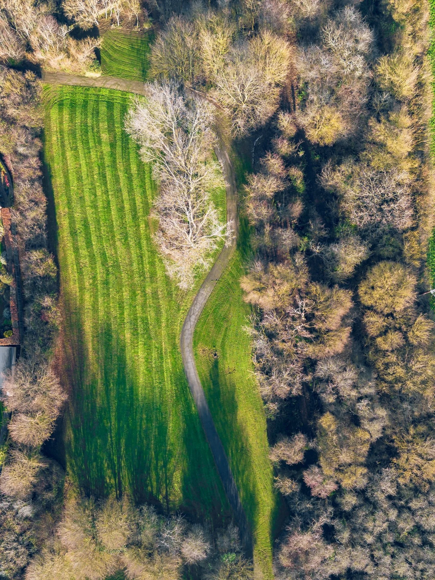 Fairways Estate, Whitstable looking sharp 🌿

We&rsquo;ve levelled up our kit with the Weibang Velocity tracked flail and Kubota F2880 + Trimax flail, delivering precision, power, and a flawless finish across the estate.
Reliable machinery. Consisten