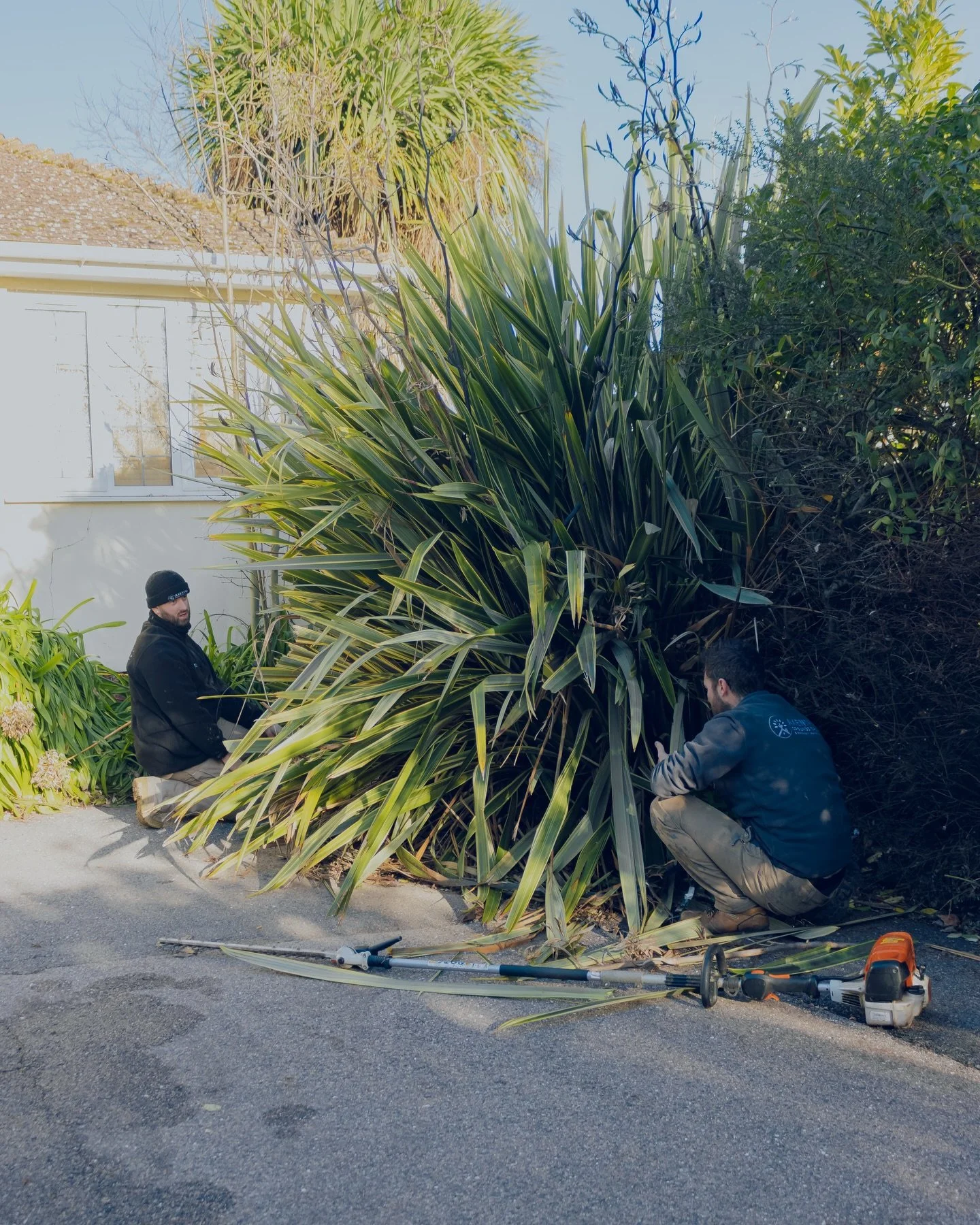 Day 1 of the Airbnb makeover 🌿

Today we stripped back the overgrown shrubs and planting at the front of the property, opening up the space and transforming access.

✔️ More driveway room
✔️ Clear access to the shed
✔️ Side access to the rear alleyw