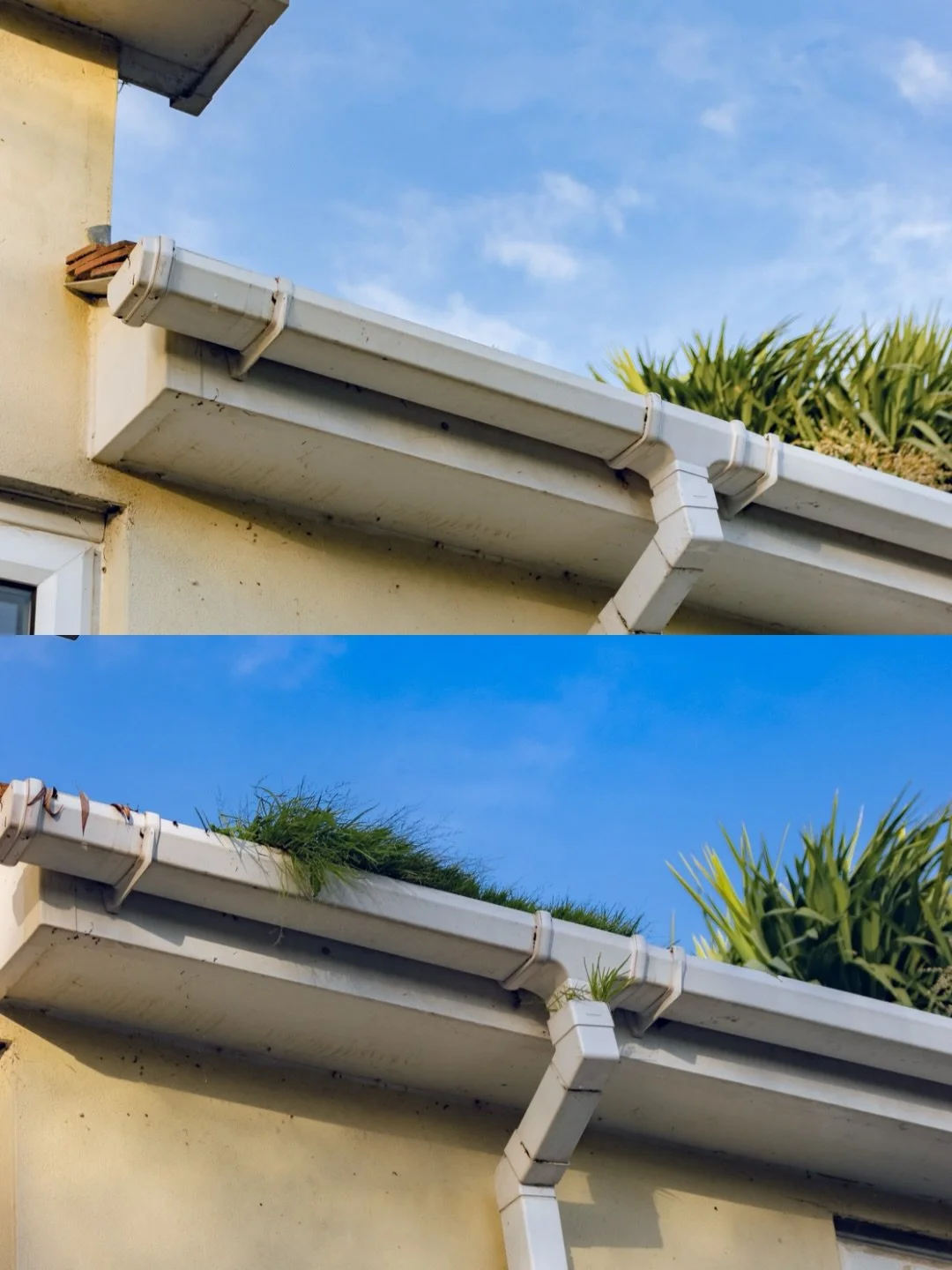 Airbnb Makeover &ndash; Day 2 🚧

Pebbles laid ✔️
Walkway cleared ✔️
Gutters cleaned ✔️
One step closer to a fresh, guest-ready space ✨
&bull;
&bull;
&bull;
&bull;For any inquiry&rsquo;s please DM or contact us.
&bull;📧Info@axentragroup.co.uk
&bull;