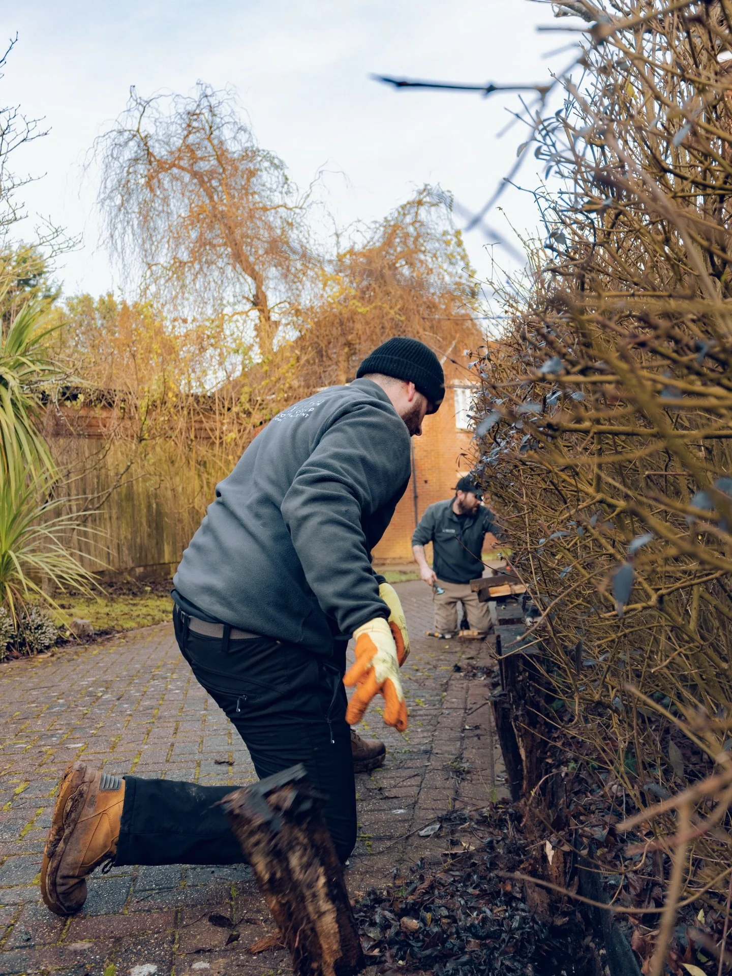 Out with the old, in with the solid 💪

Today we stripped out years of rotted sleepers and started laying brand-new ones.
Day one done &mdash; and this garden is already heading in the right direction.

WIP today,transformation loading 🔄