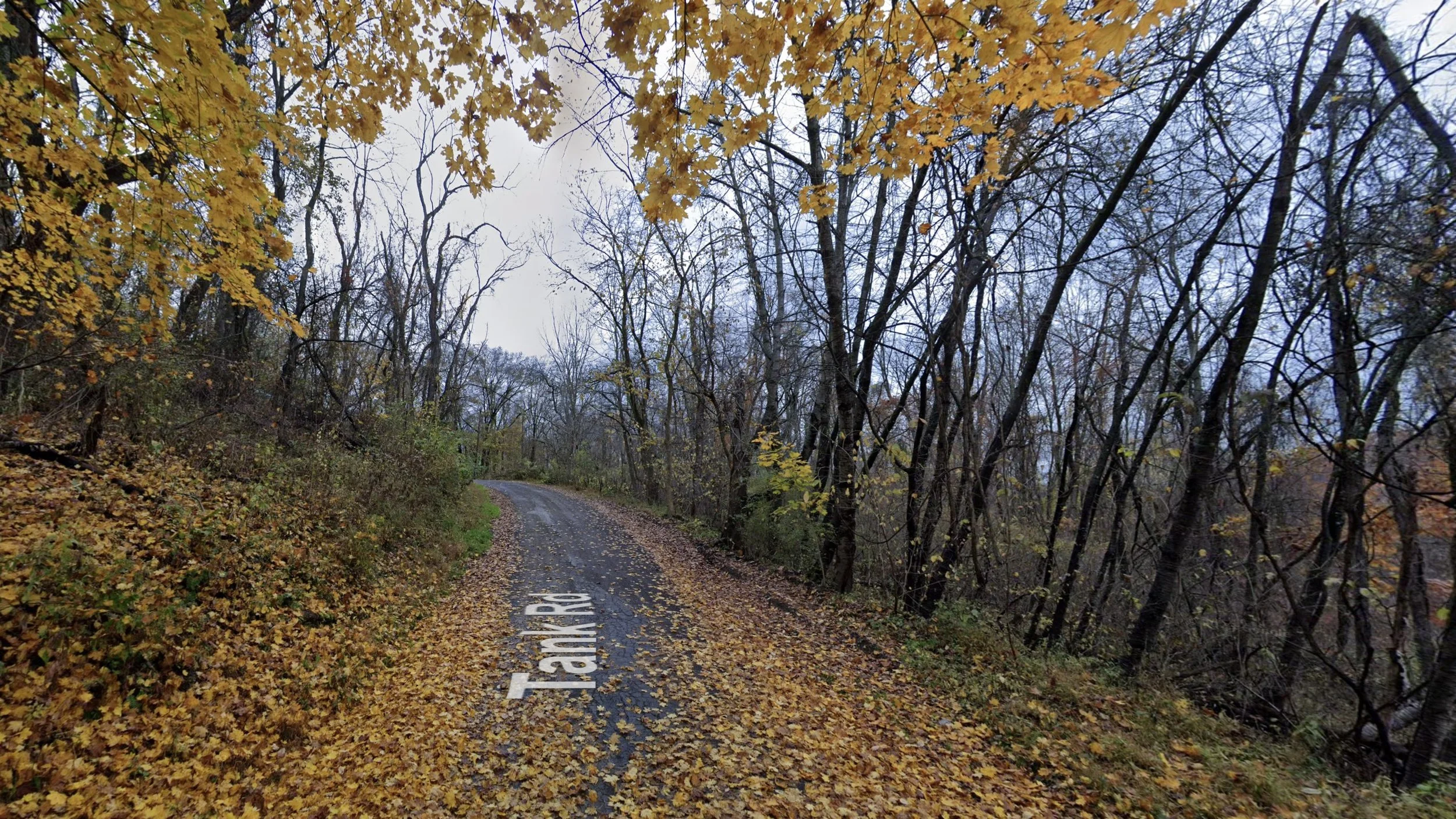 042 - 776 Tank Rd - Google Maps(2).jpeg