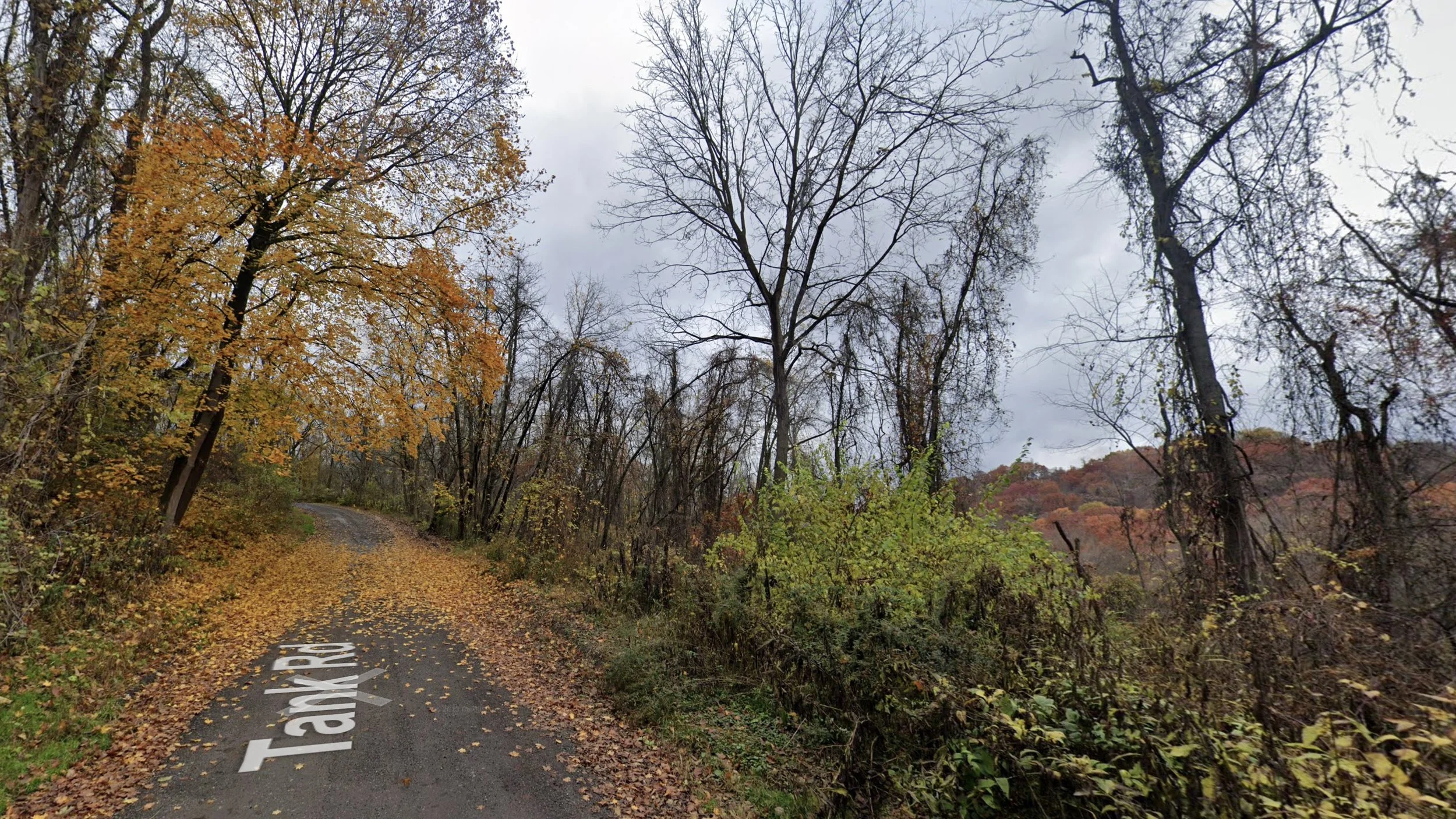 040 - 776 Tank Rd - Google Maps.jpeg