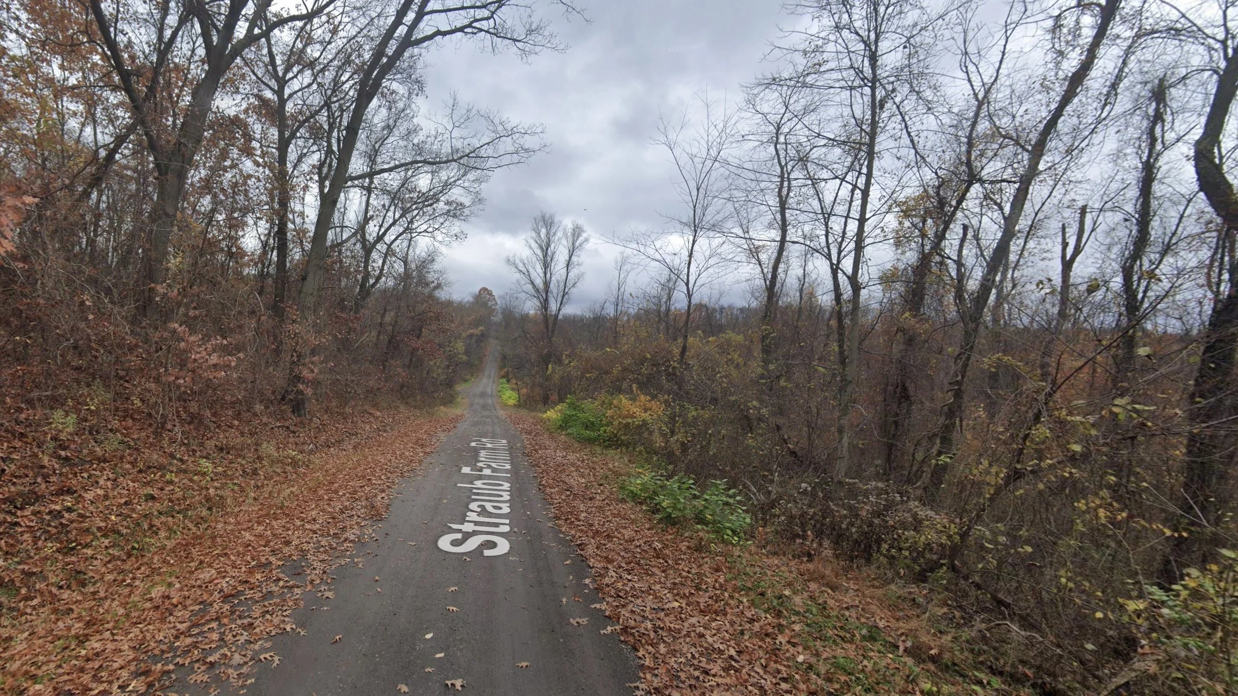 044 - 837 Straub Farm Rd - Google Maps.jpeg