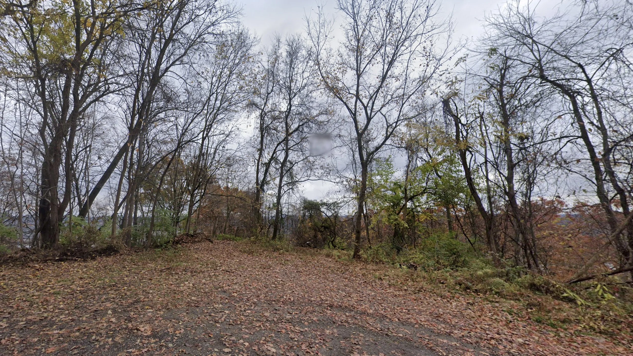 043 - 91 Tank Rd - Google Maps.jpeg