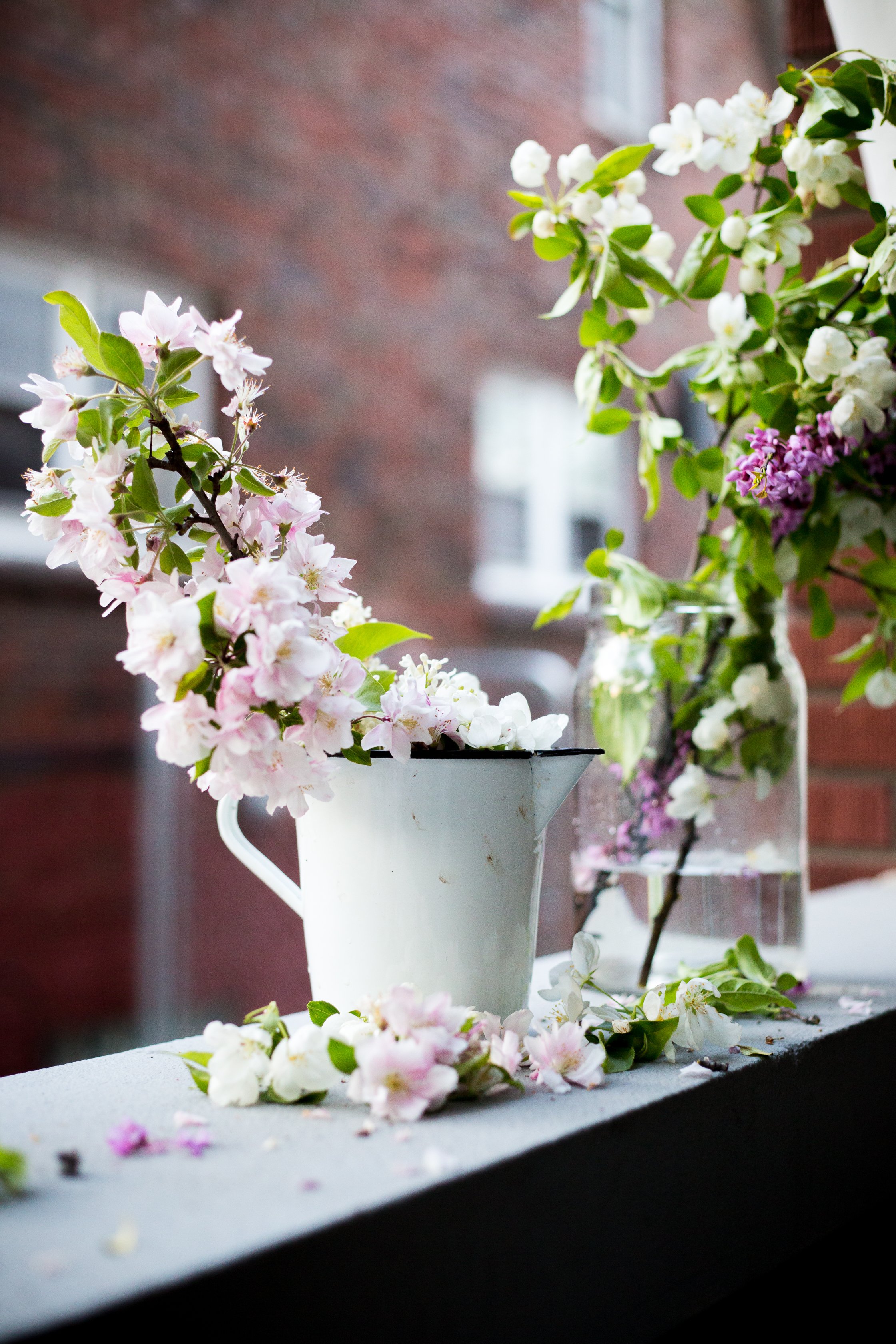 spring-blossoms-5916-1-of-4_26336037973_o.jpg