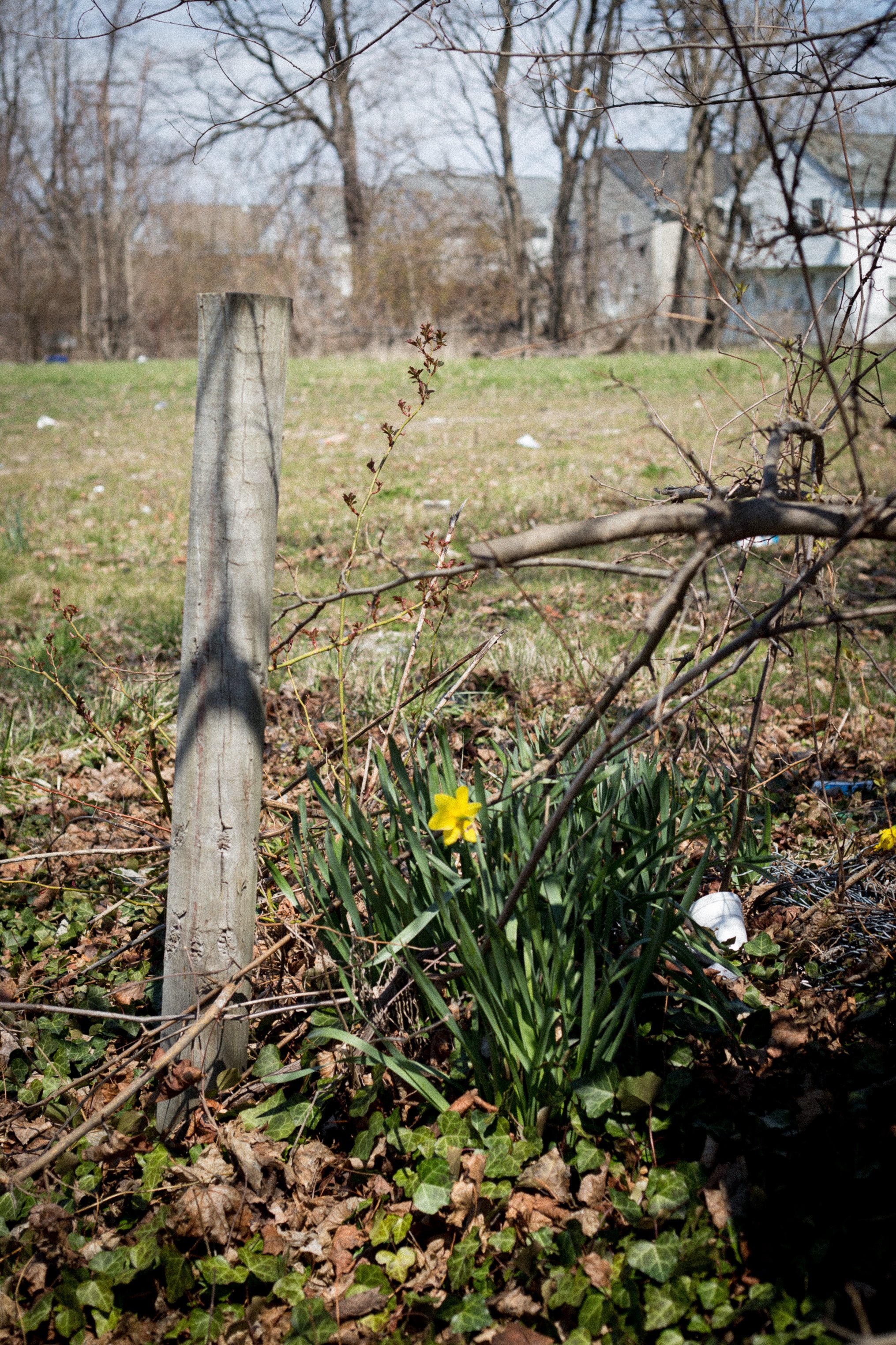 ghost-of-gardens-past-blog-post-2-of-14_25832658803_o.jpg