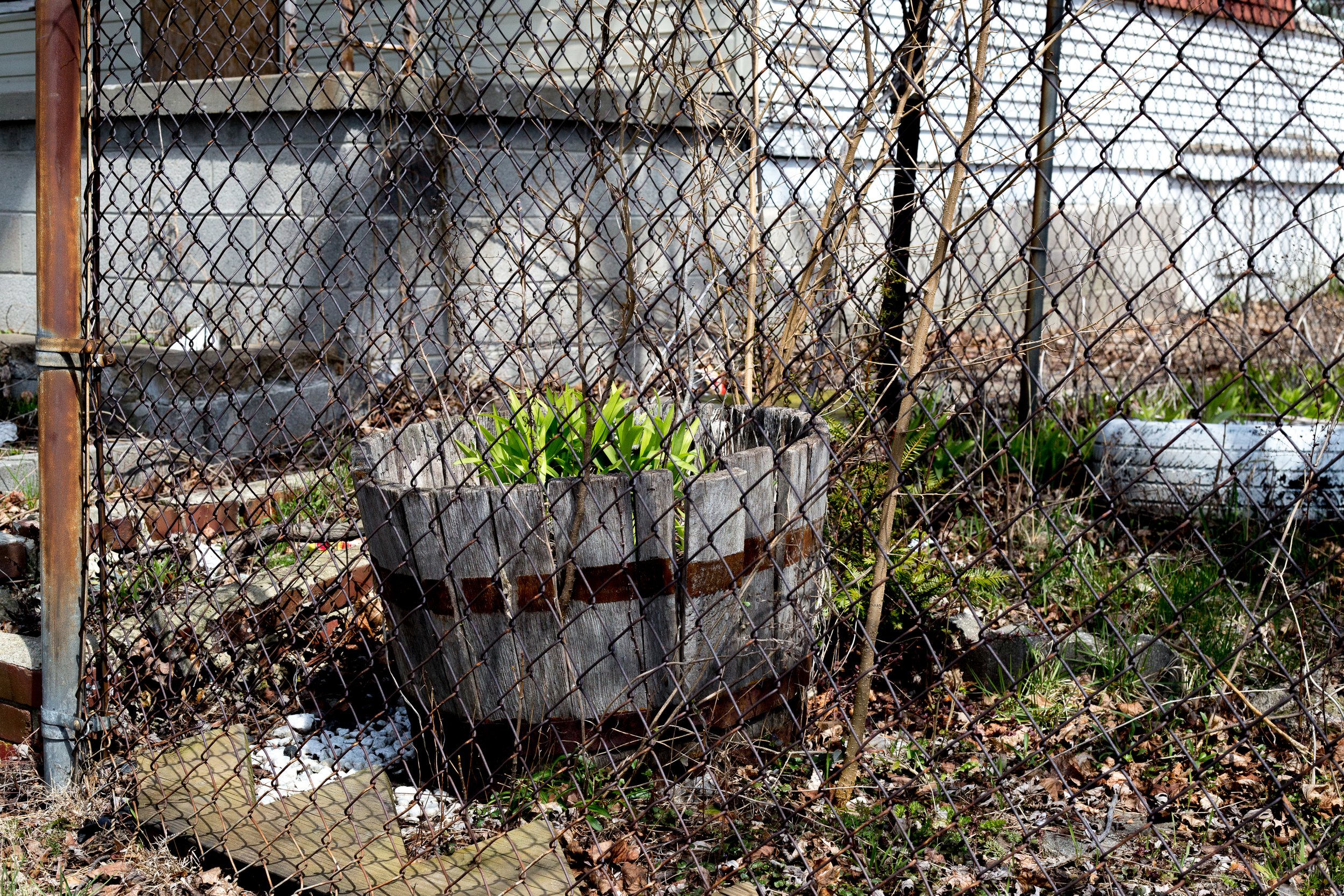 ghost-of-gardens-past-blog-post-4-of-14_25830647194_o.jpg