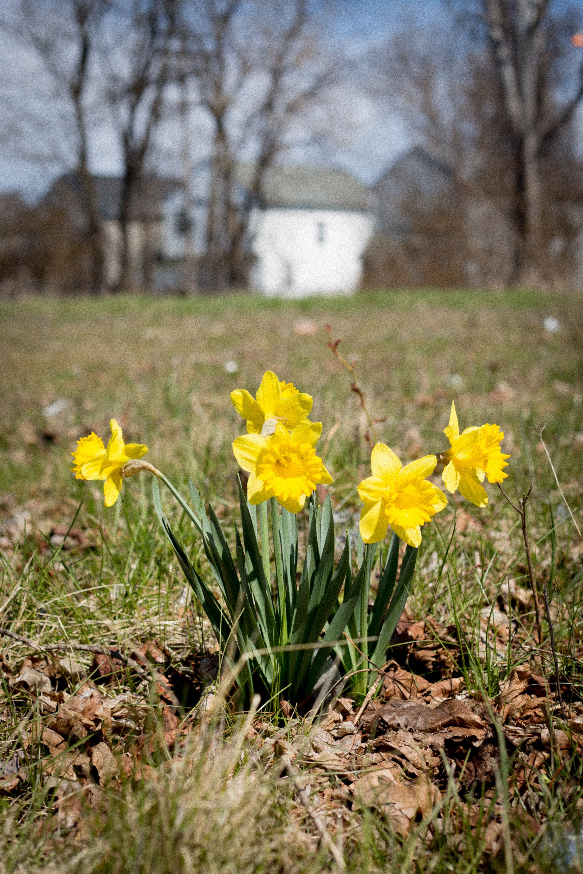 ghost-of-gardens-past-blog-post-1-of-14_26343133712_o.jpg