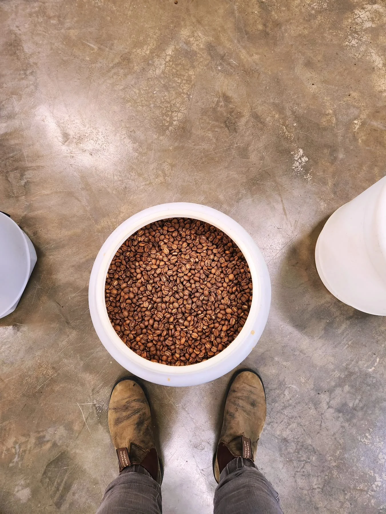 Beans and boots 
@blundstoneau @blundstoneworkau 

#roastery #coffee #coffeeroaster