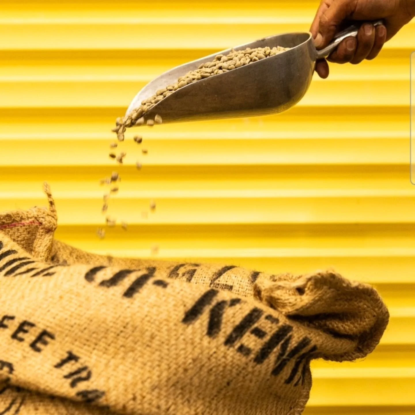 Sunday Roast 
This Sunday at Lottie Lane + BAKED

Come join us this Sunday for an open roastery experience!
9.30am TILL 1.30pm

Chat with Chicko, co-founder of Lottie Lane Coffee
Taste a range of coffees fresh from the roaster

Grab beans for home, a