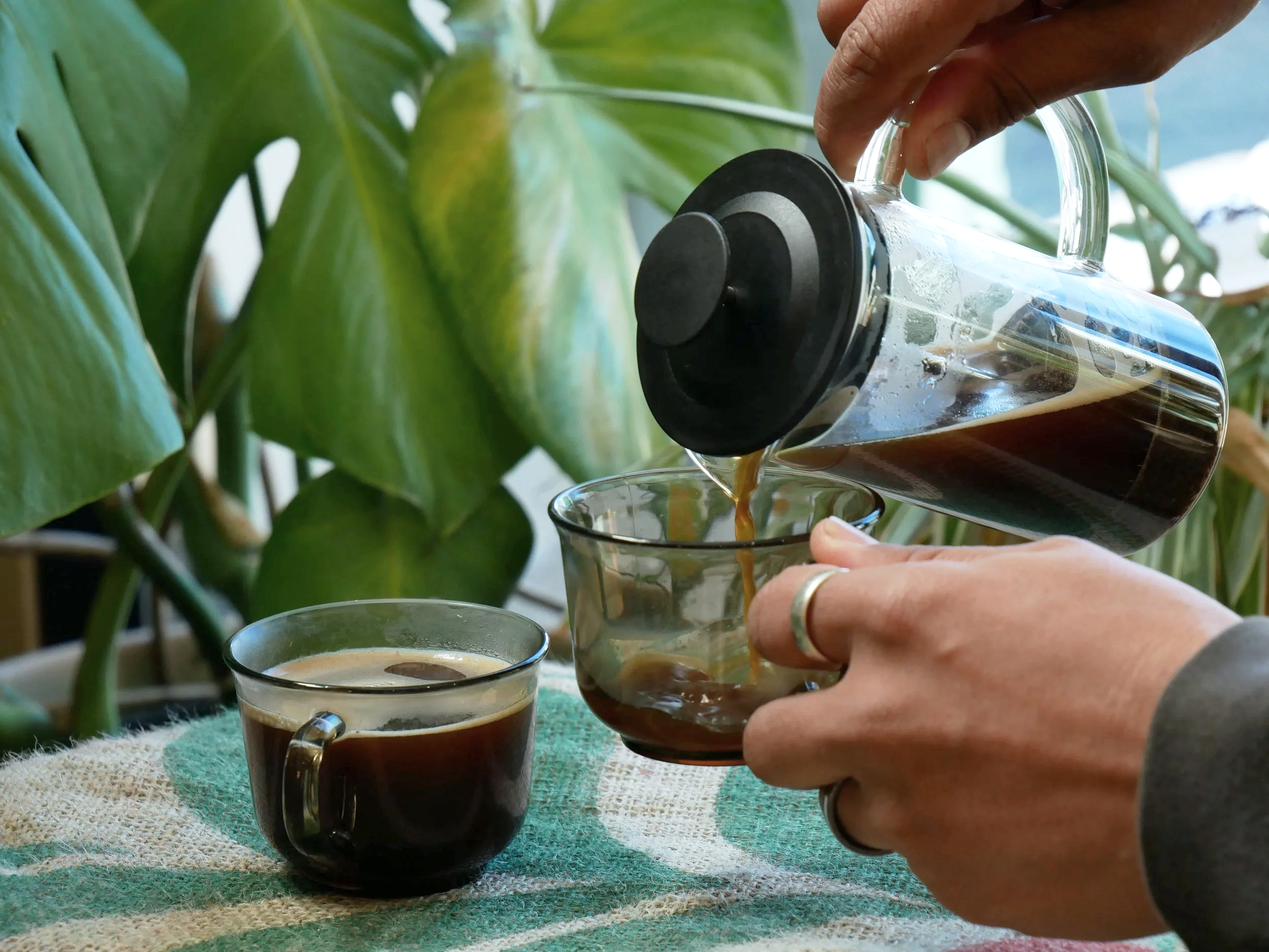 A person pouring cold brew coffee from a glass pitcher into a clear glass mug, with two other mugs filled with coffee on a striped green and beige cloth. Green plants in the background.