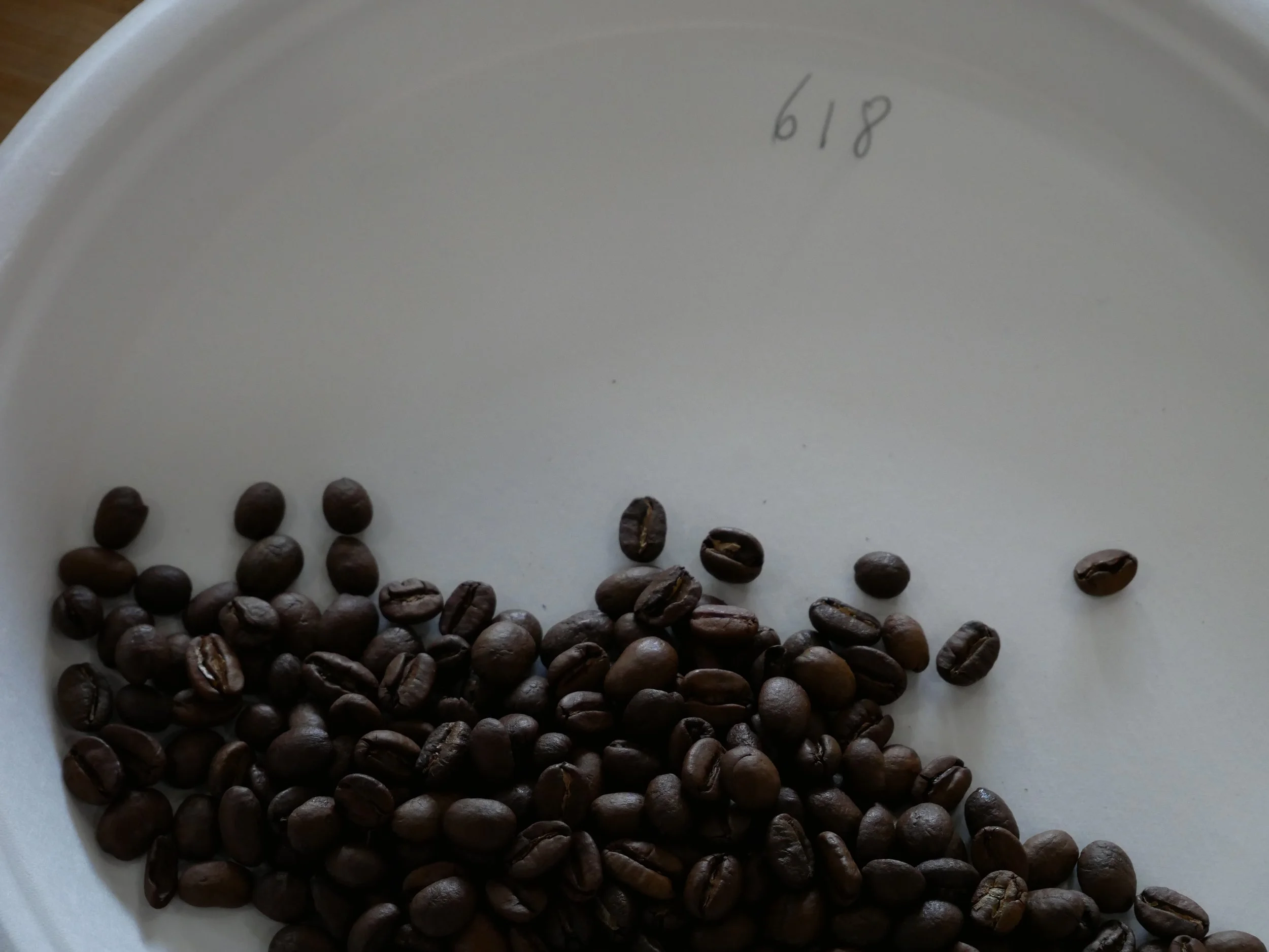 P1110776.JPG