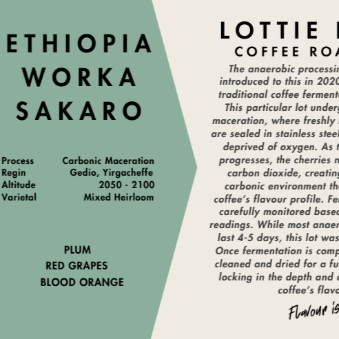 Ethiopia Worka Sakaro