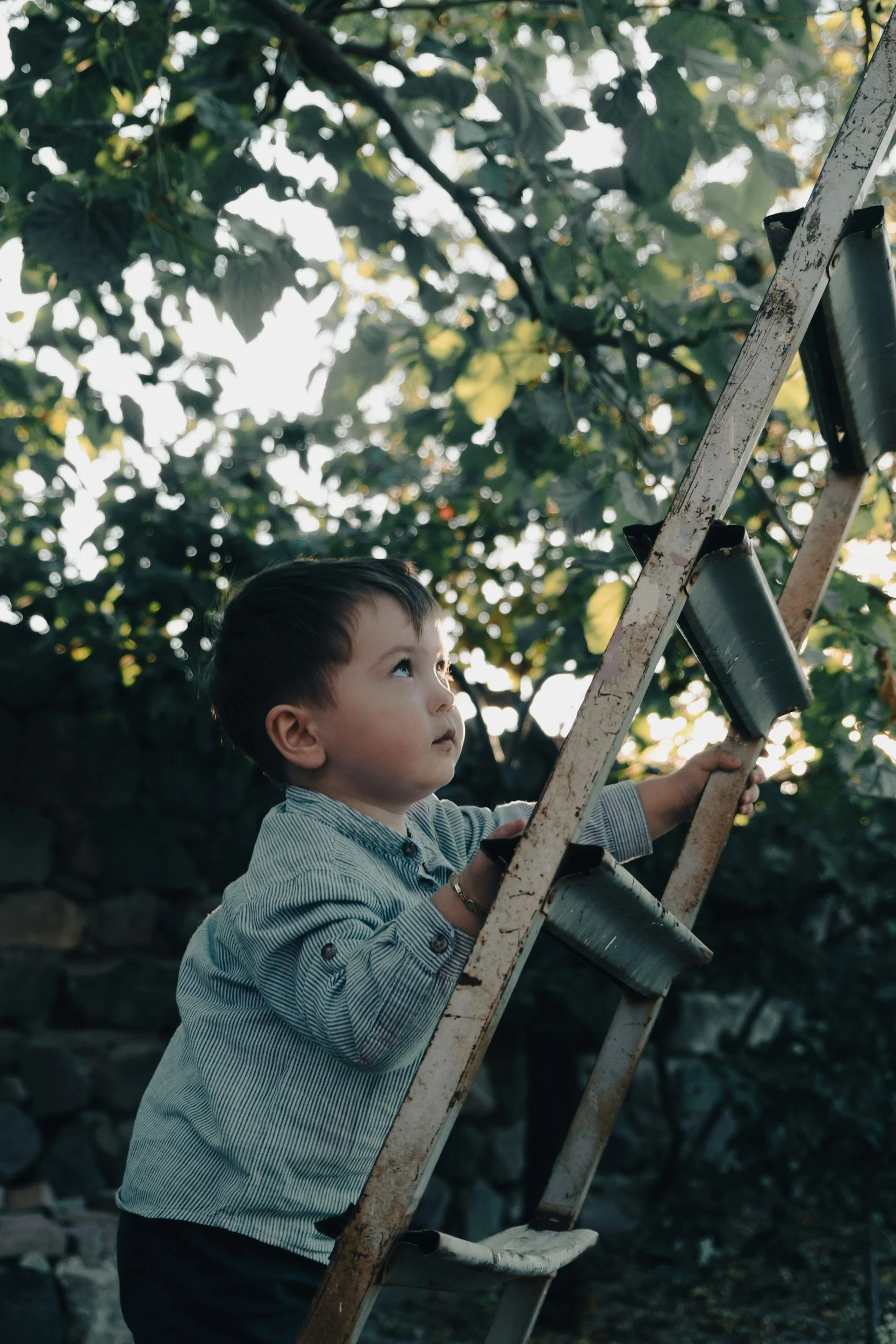 Understanding Your Child’s Developmental Profile