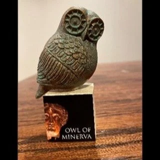 The Owl of Minerva has been used as a symbol of knowledge, wisdom, perspicacity and erudition. Often depicted with the Goddess Minerva to show her wisdom.
The cover of The Minerva Agenda features an owl as a nod to Minerva the Roman Goddess herself.