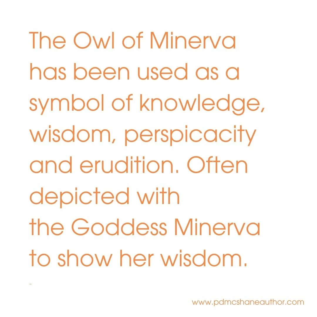 Minerva, the Roman goddess of wisdom, justice, law, victory, and strategy. She is the goddess
of warfare, though with a focus on strategic warfare, rather than the violence of gods such as Mars.
See the connection?
Order your copy of The Minerva Ag