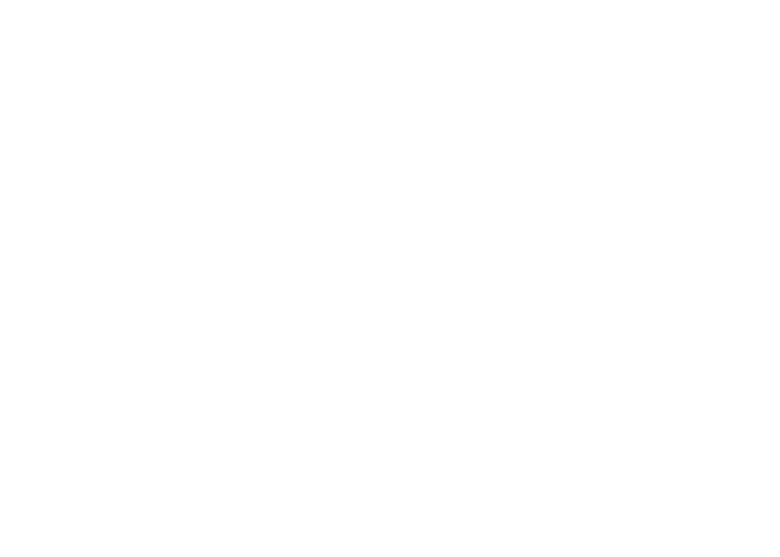 Nelson Paralegal and Professional Services LLC