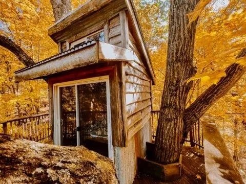 ALIYAH TREEHOUSE12.jpeg