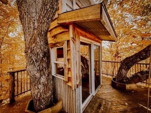 ALIYAH TREEHOUSE11.jpeg