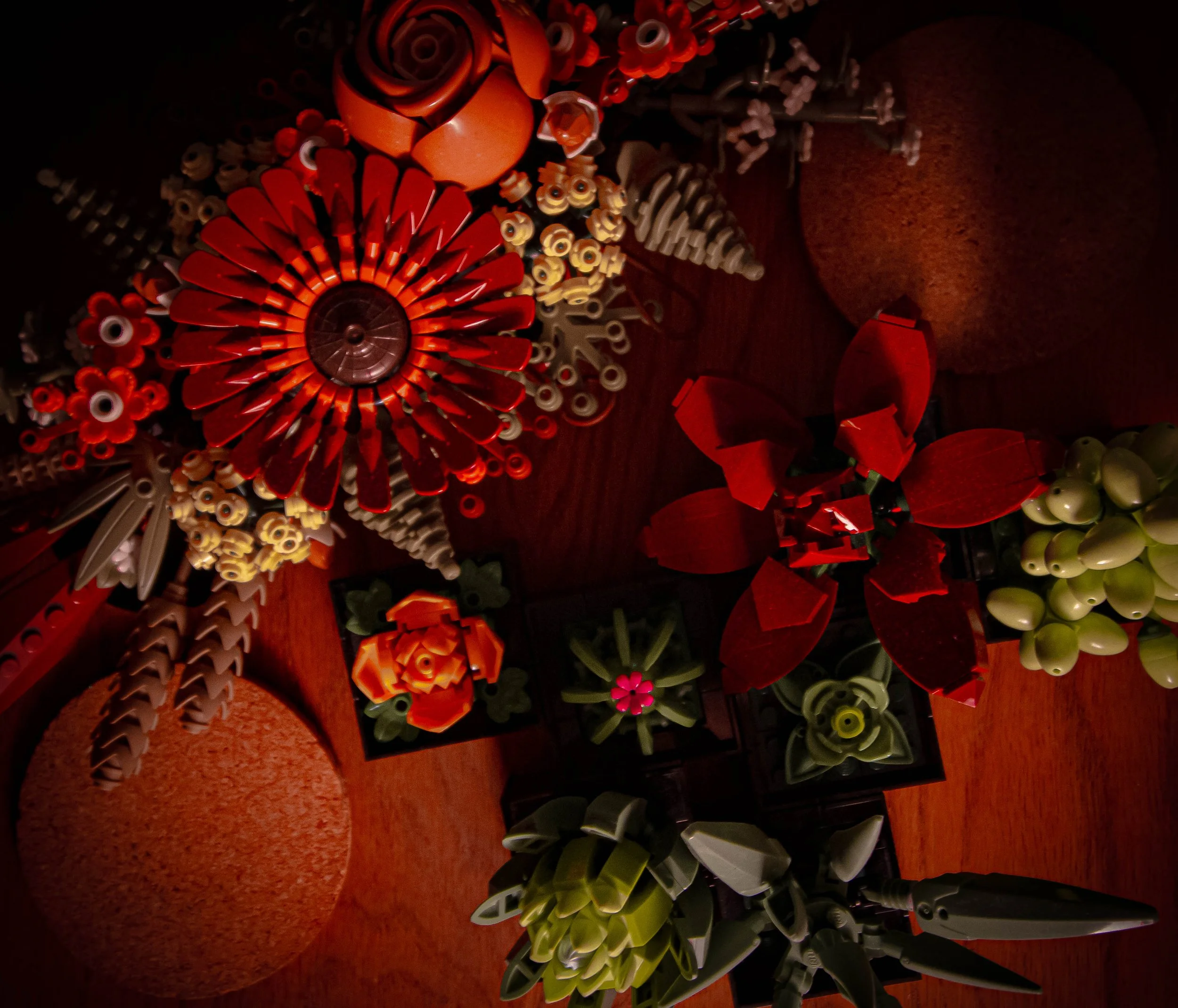 final_rsutclif (7 of 10).jpg