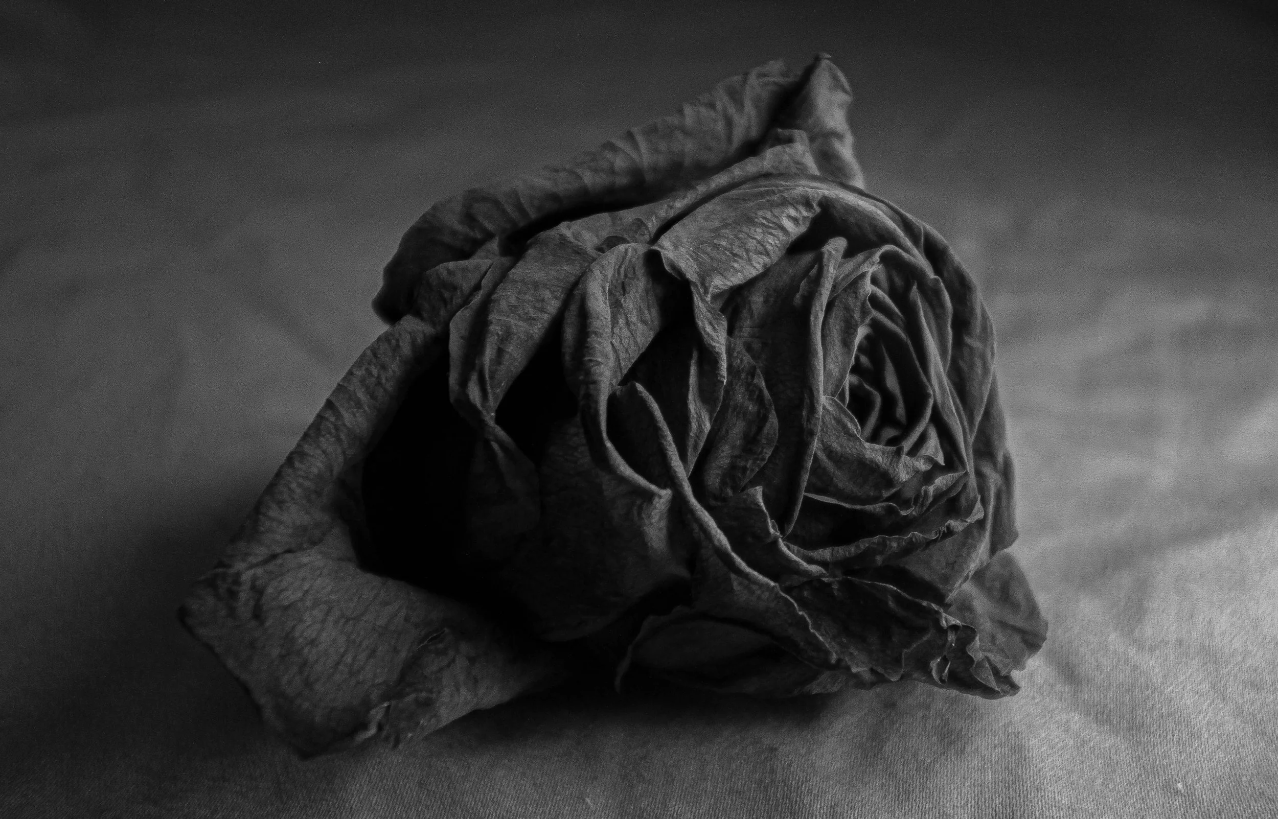 emulation_rsutclif (3 of 3).jpg