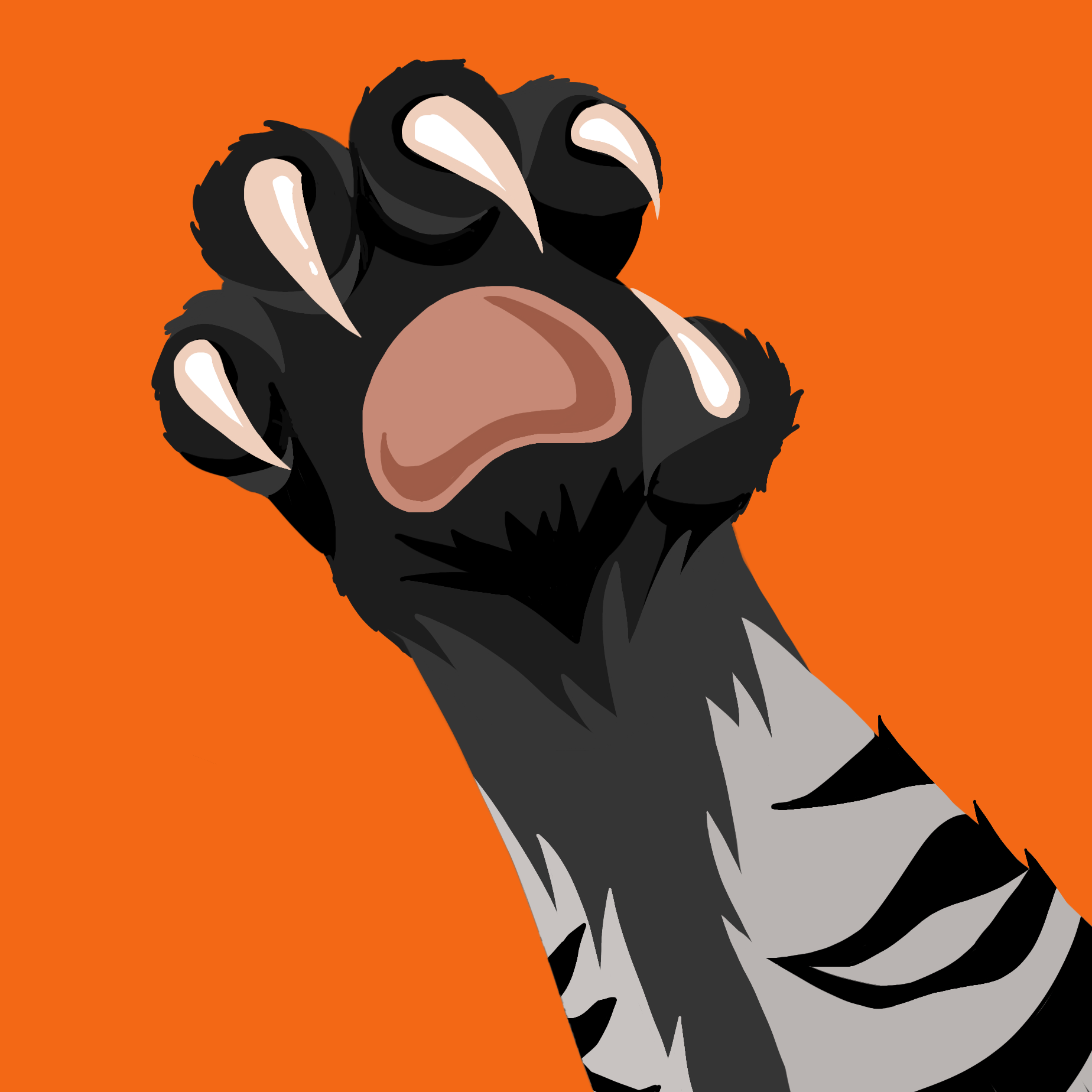 Untitled_Artwork 1.png