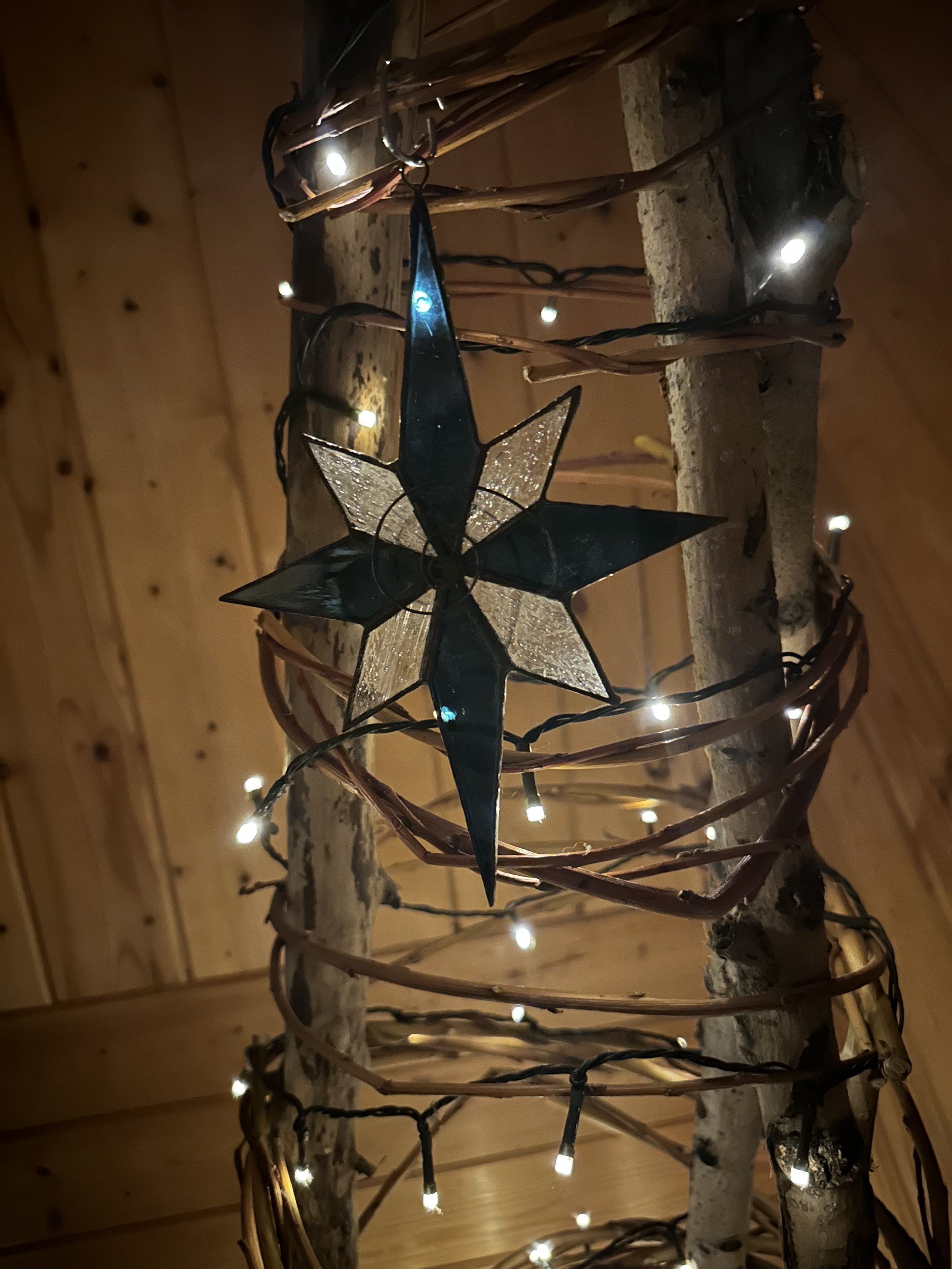 Christmas star