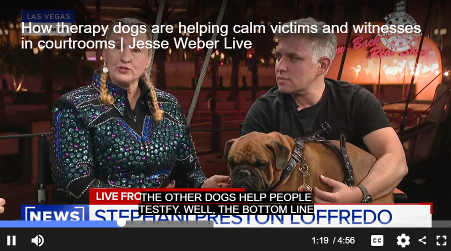 How dogs are helping calm victims and witnesses in courtrooms