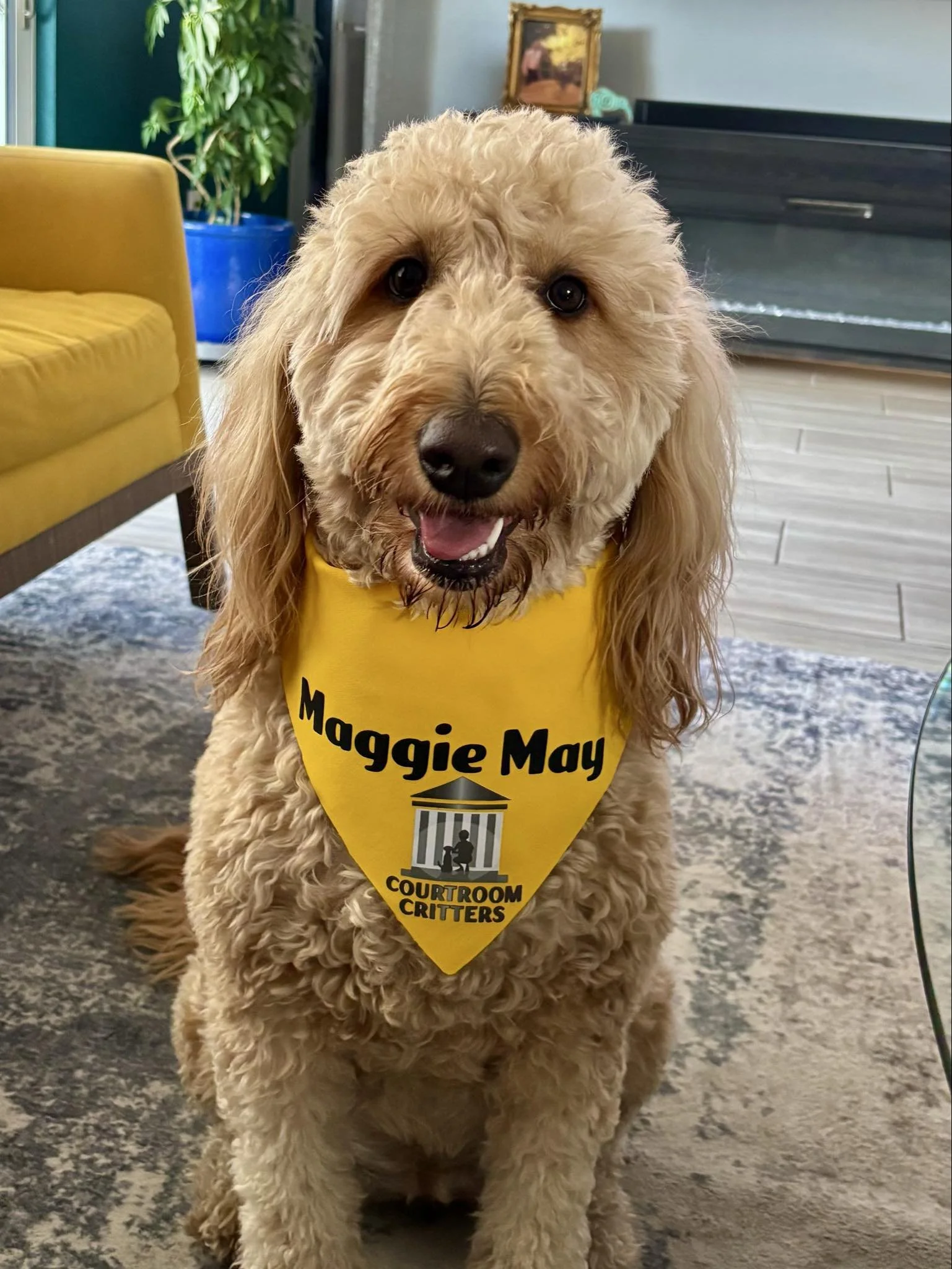 maggie may bandana.jpg
