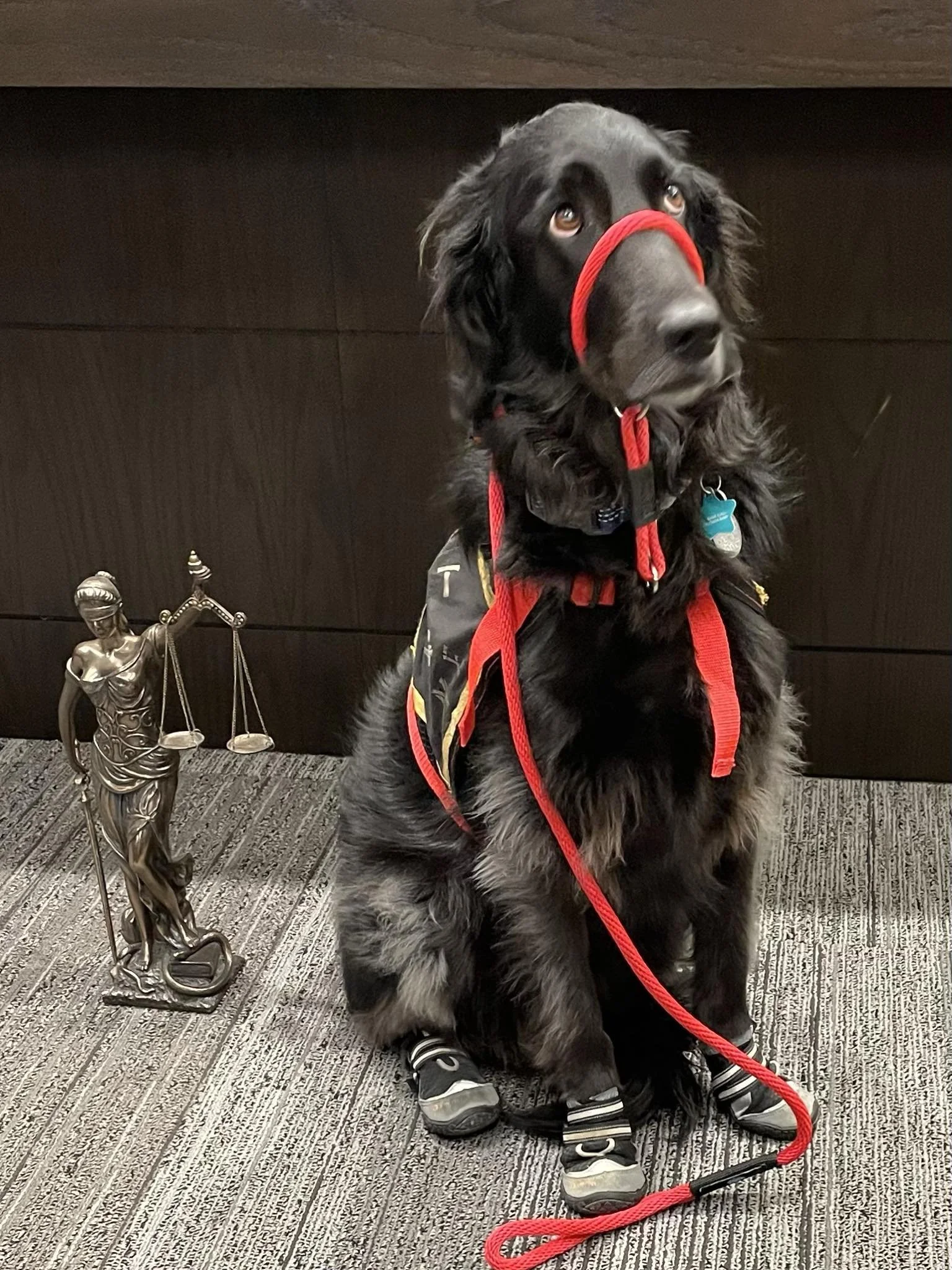 nova and darlene.jpg