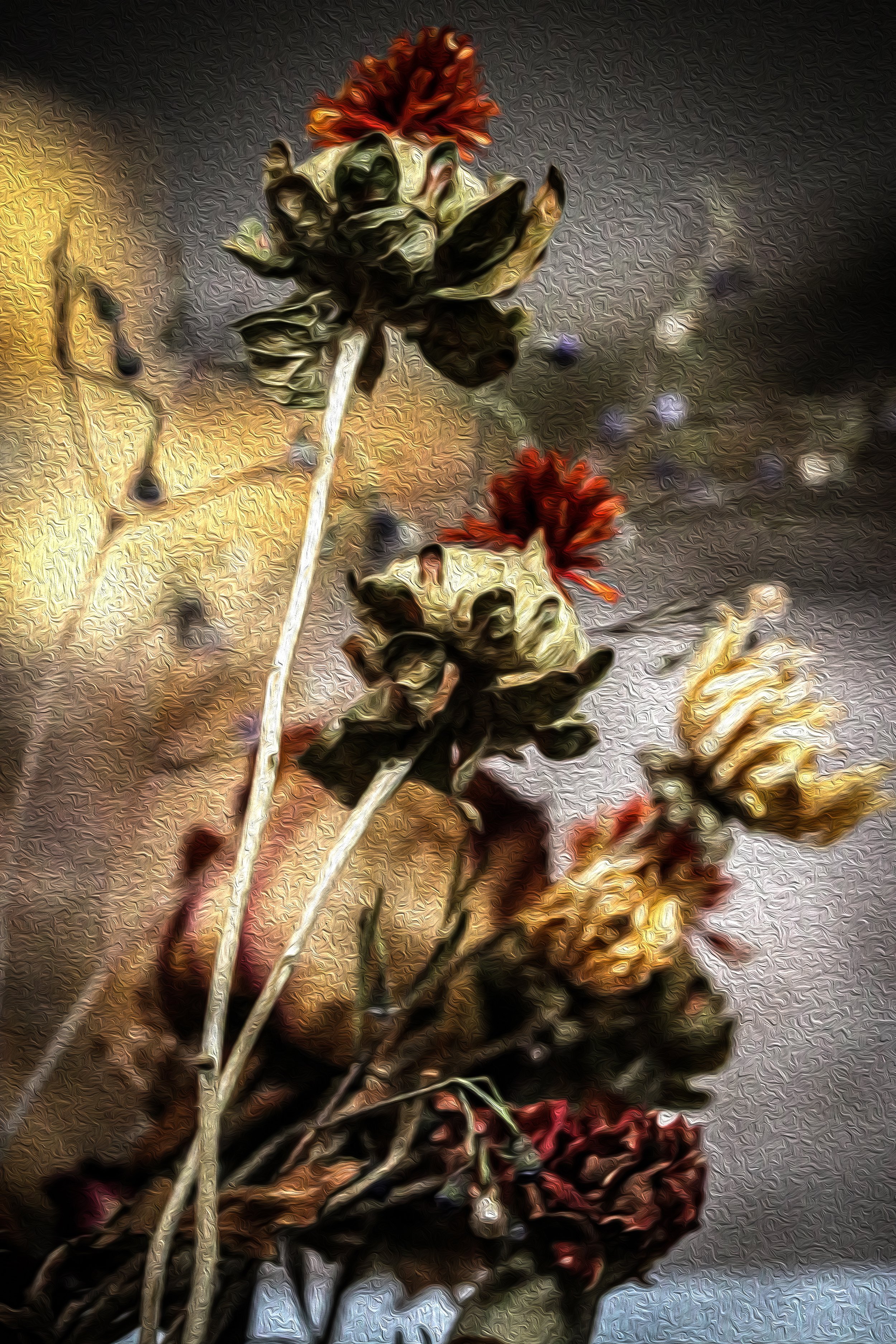 1FA880ED-52F9-4D2B-A29E-DA953371DE4C.jpeg