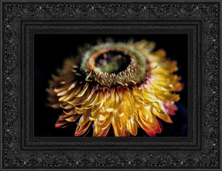 12x18 lions tooth.jpeg