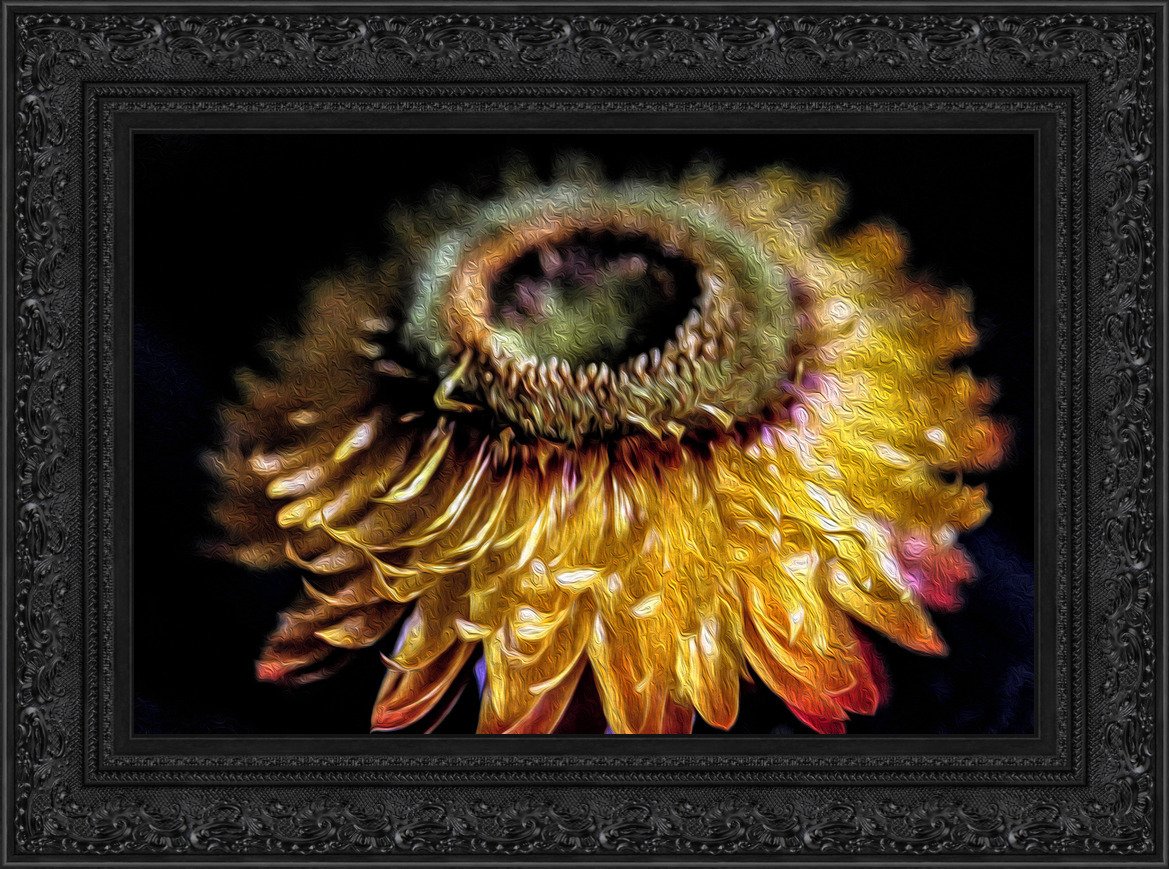 18x12 lions tooth.jpeg