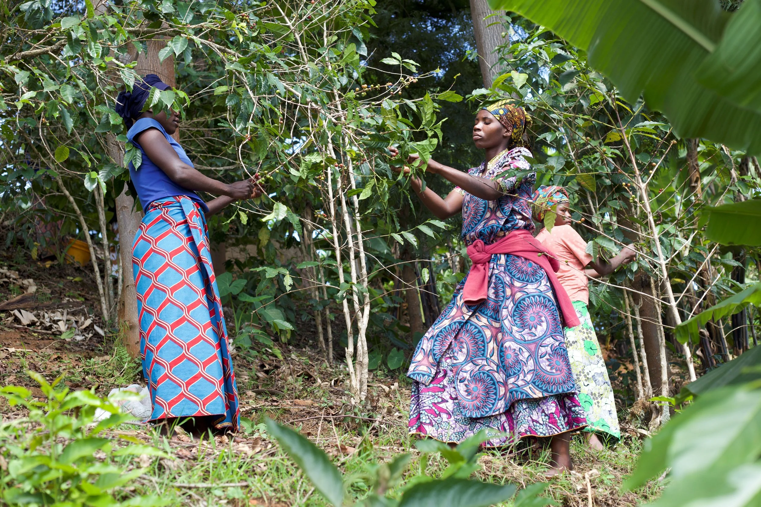 burundi3.jpg