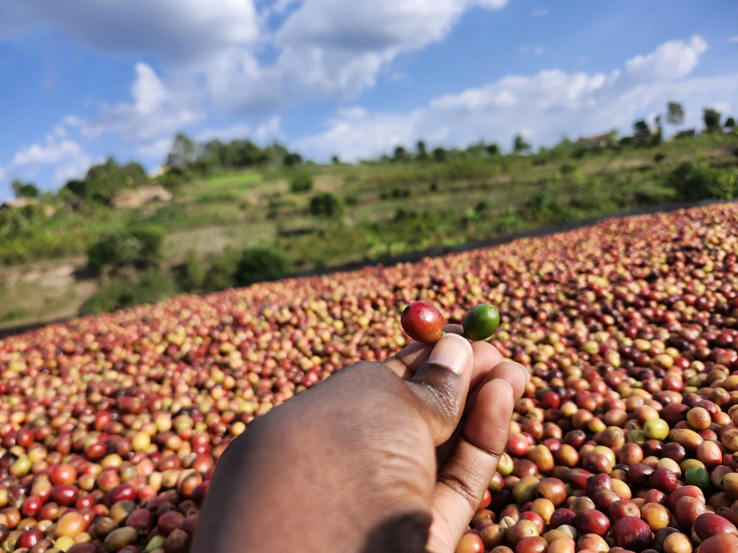 20250314_162308.jpg (Copy)