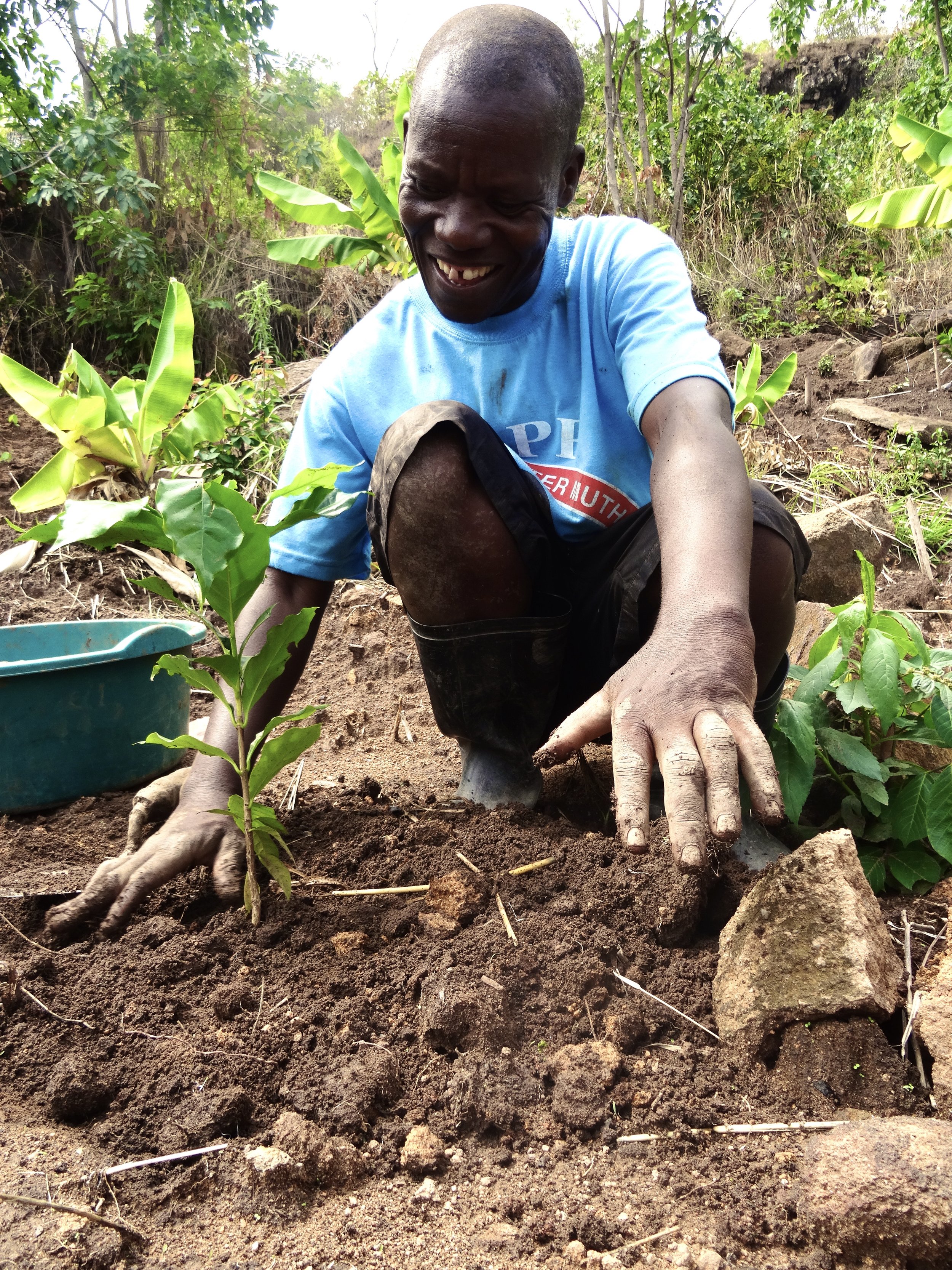 Phoka Farmer_Planting_Satemwa collab (2).jpeg