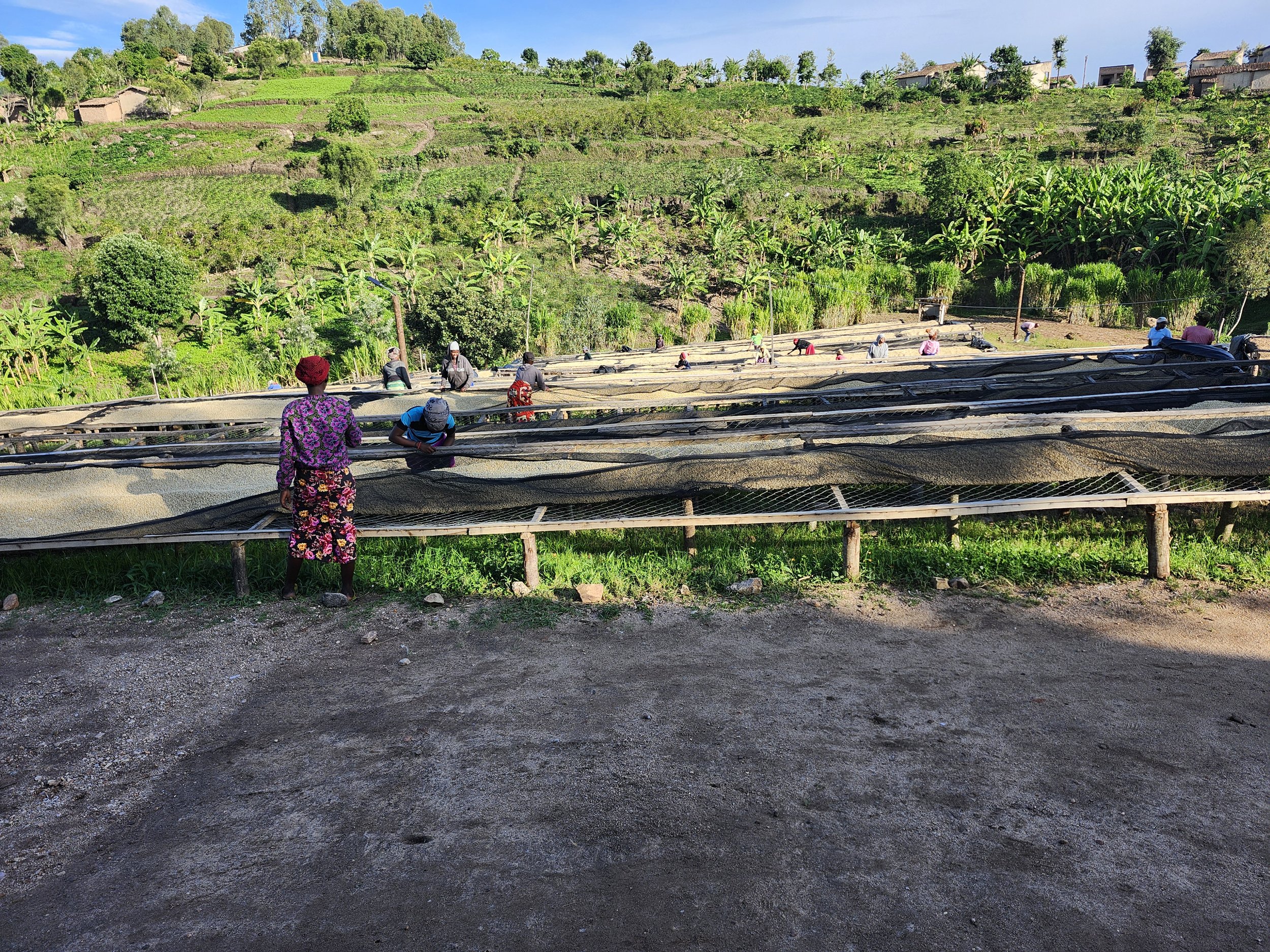 20250320_164603.jpg (Copy)