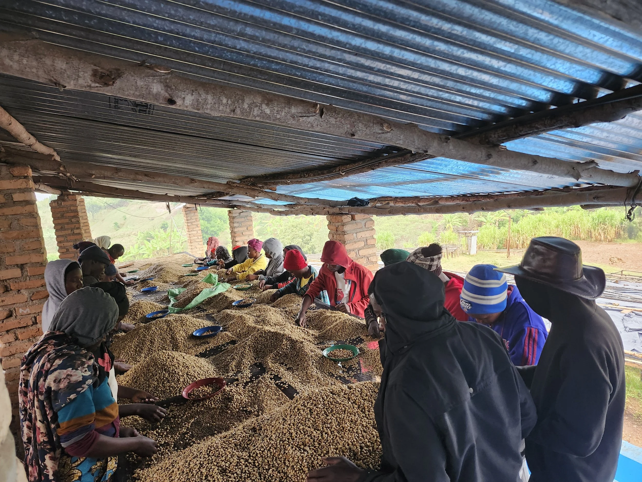 20250311_162009.jpg (Copy)