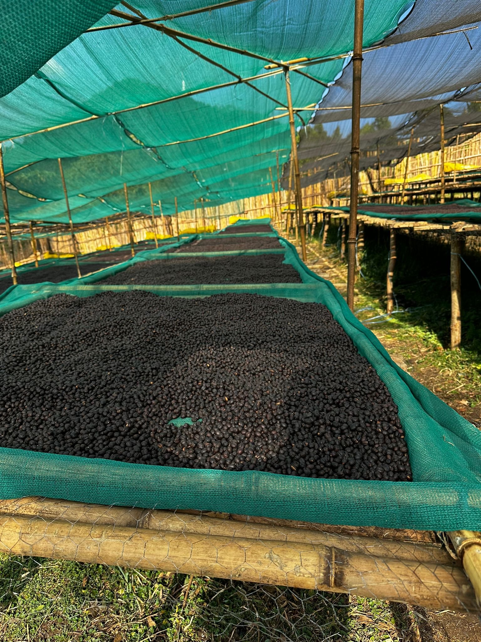 WhatsApp Image 2025-01-21 at 04.09.53.jpeg