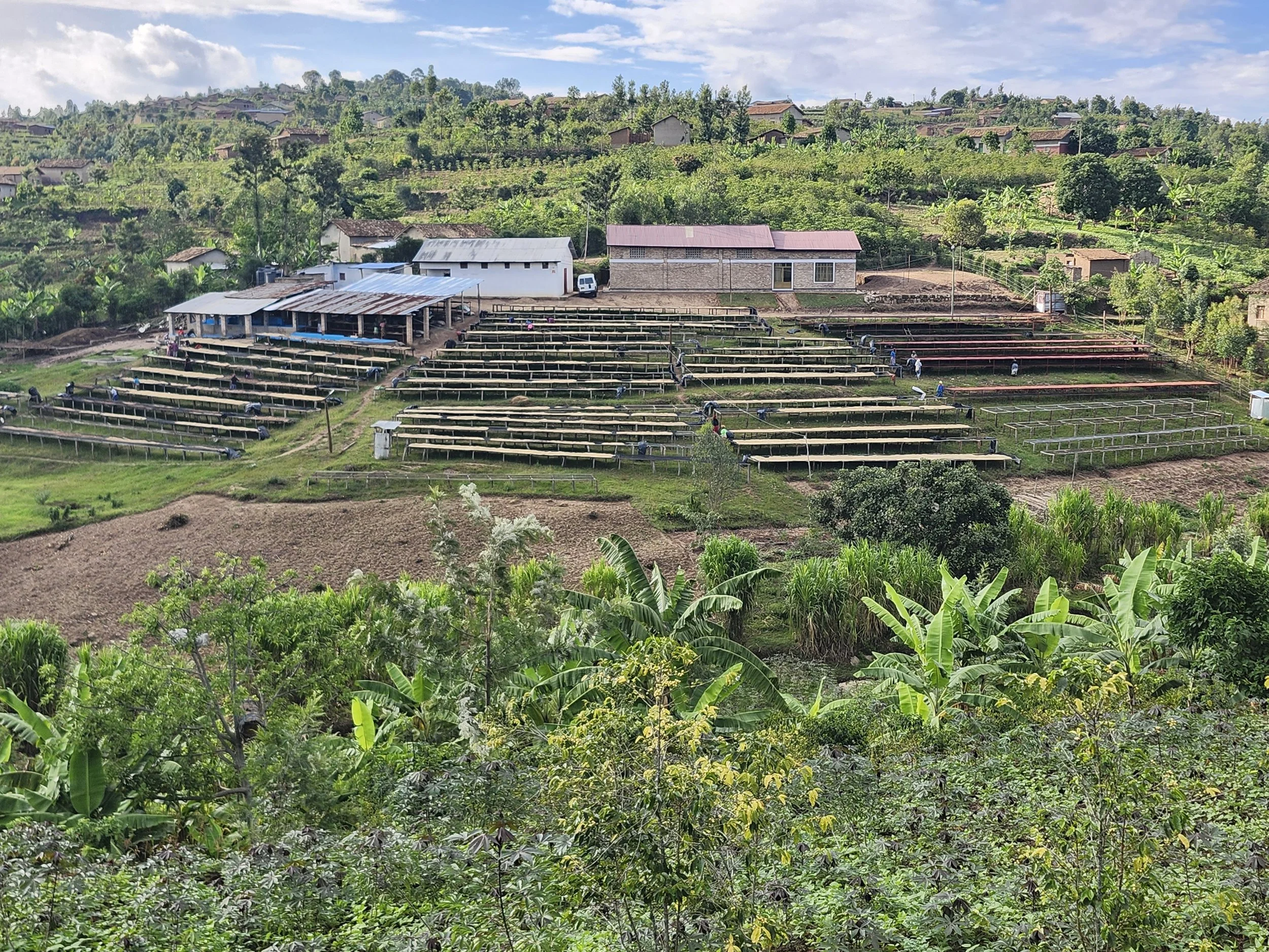 20250320_162646.jpg (Copy)