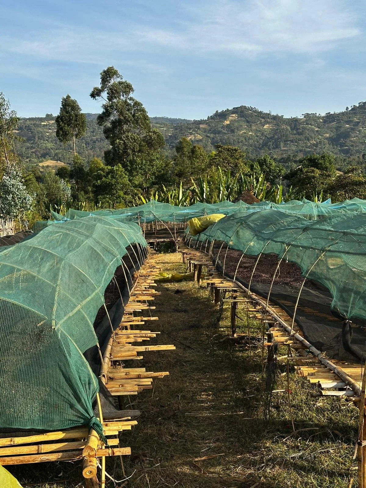 WhatsApp Image 2025-01-21 at 20.04.22.jpeg