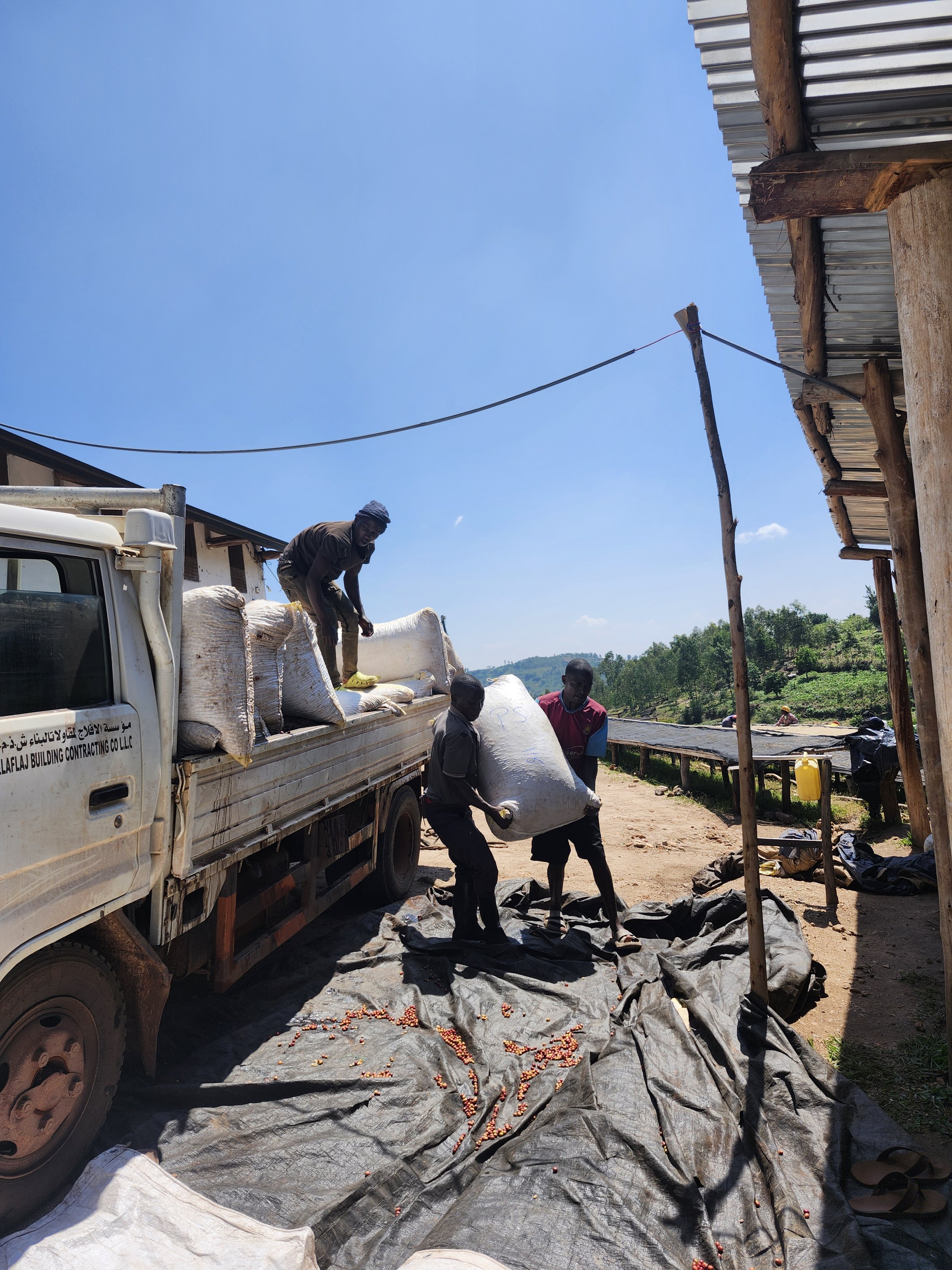 20250314_102819.jpg (Copy)