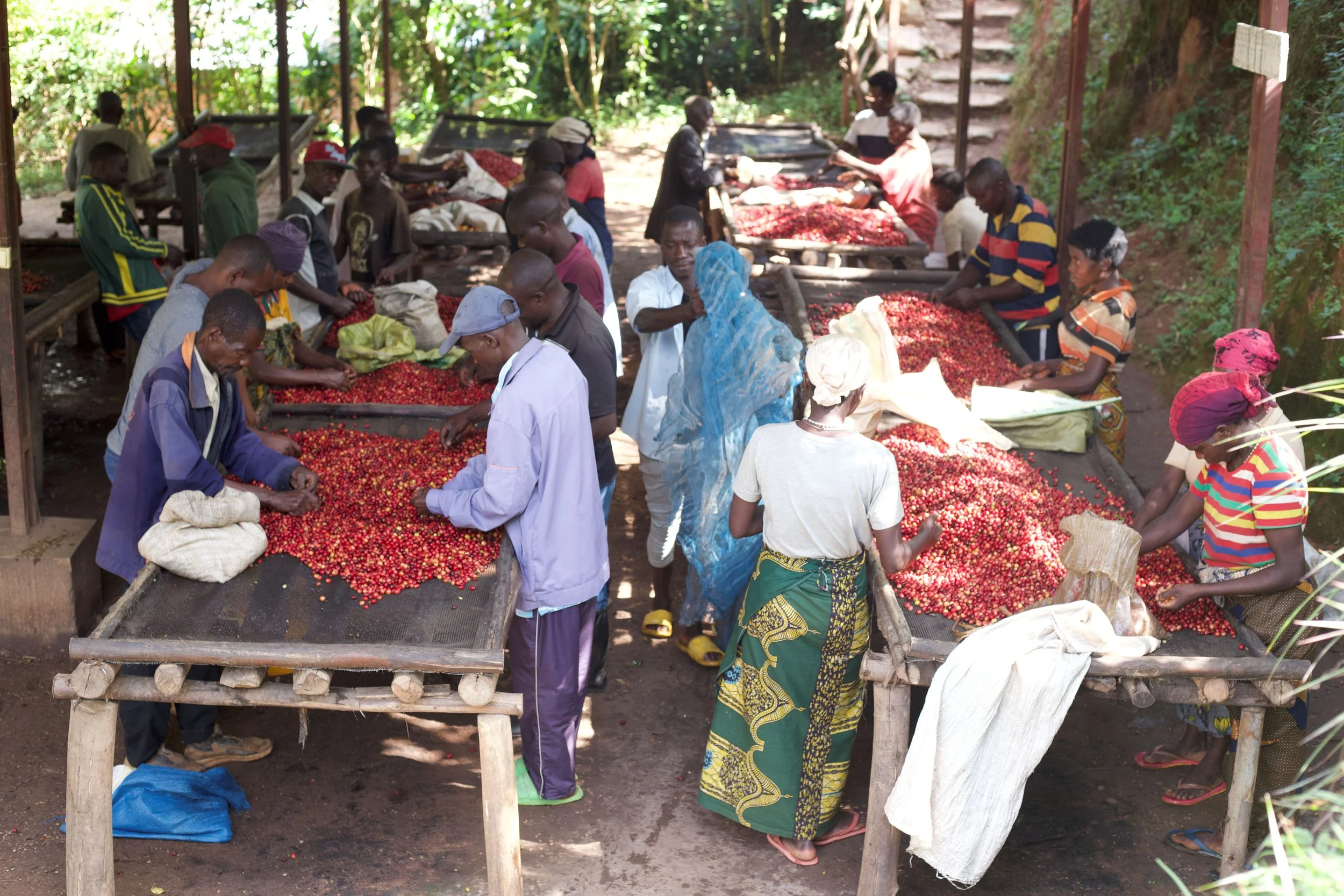 burundi6.jpg