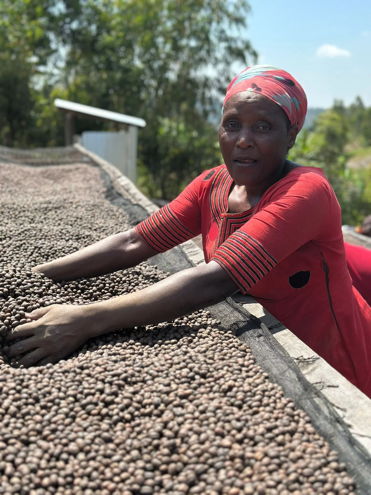 WhatsApp Image 2025-06-16 at 16.39.13 (1).jpeg (Copy)