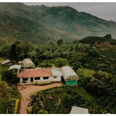 Colombia El Buho Sugarcane Decaf