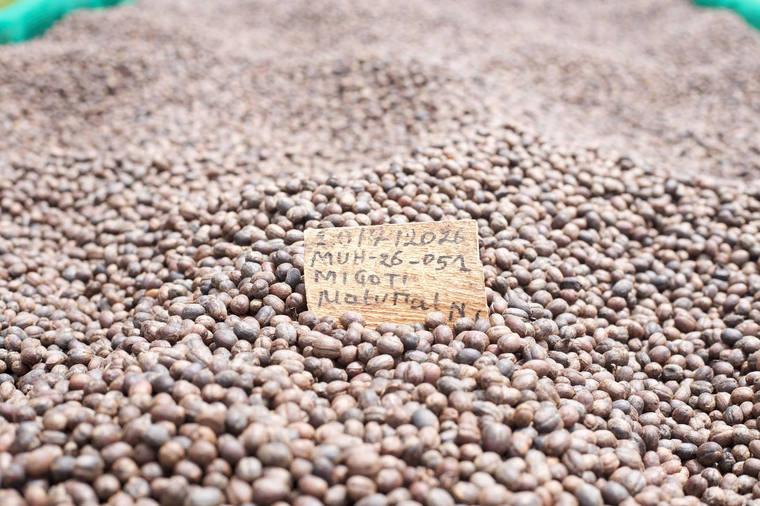 burundi9.jpg