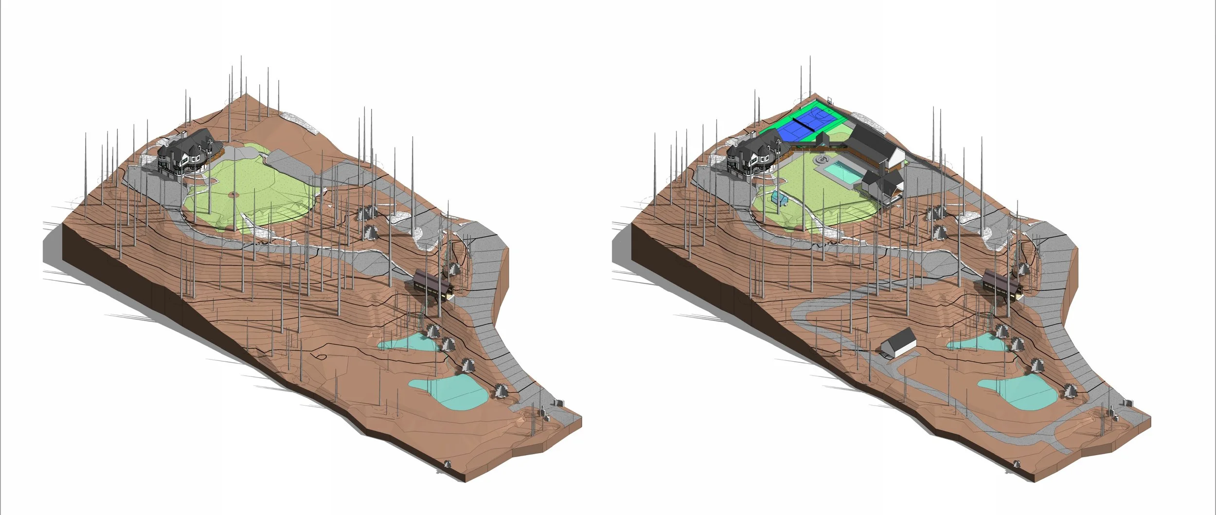 Washoe Valley Planning and Design